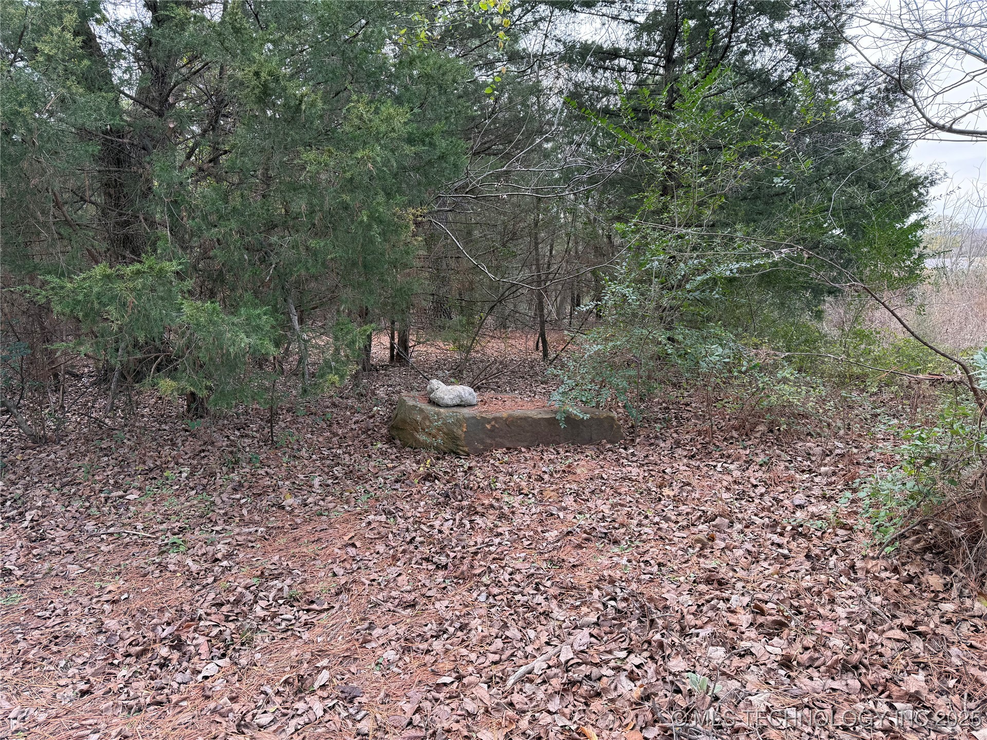 103rd Street North Property Photo 4