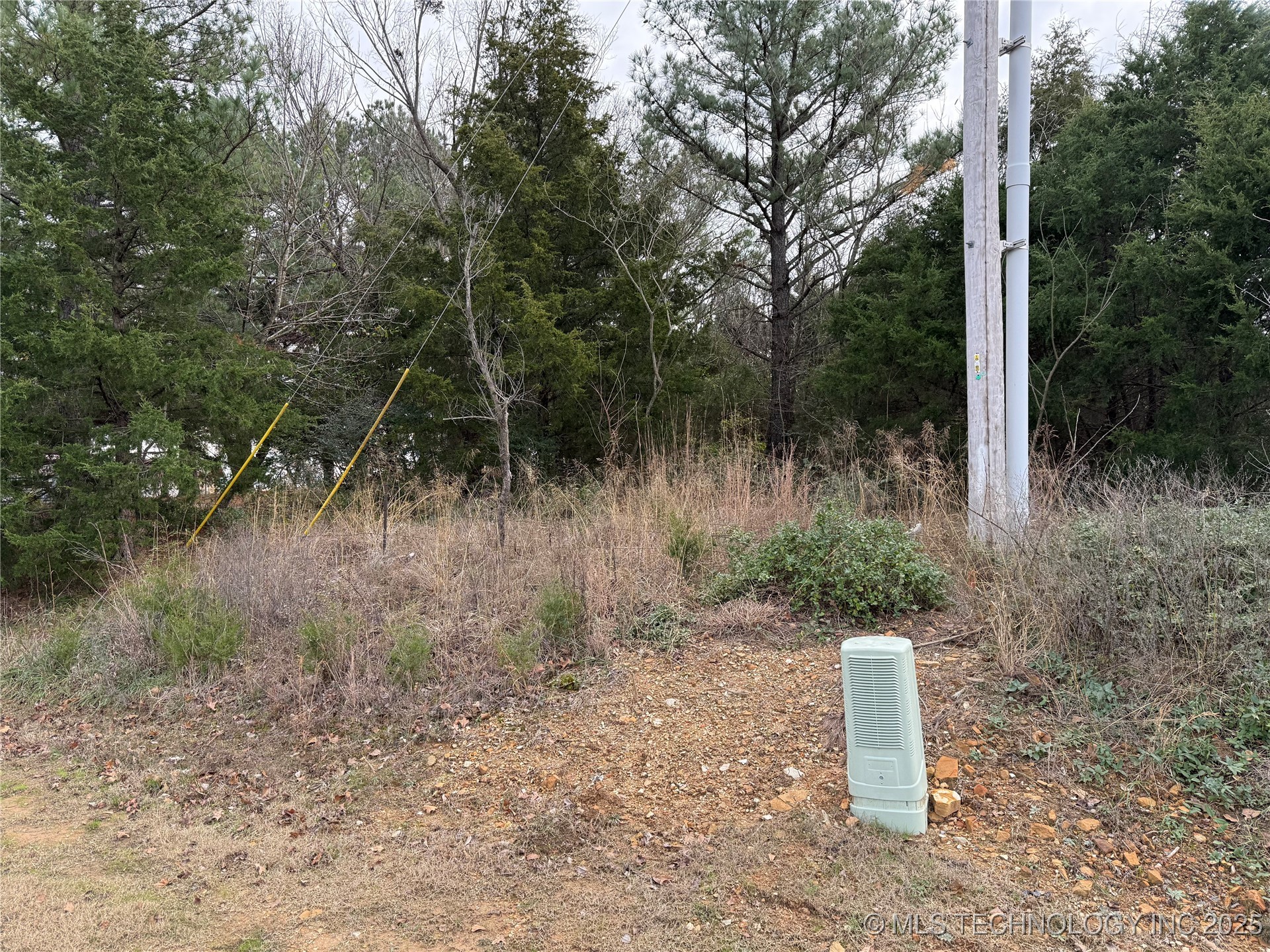 103rd Street North Property Photo 6