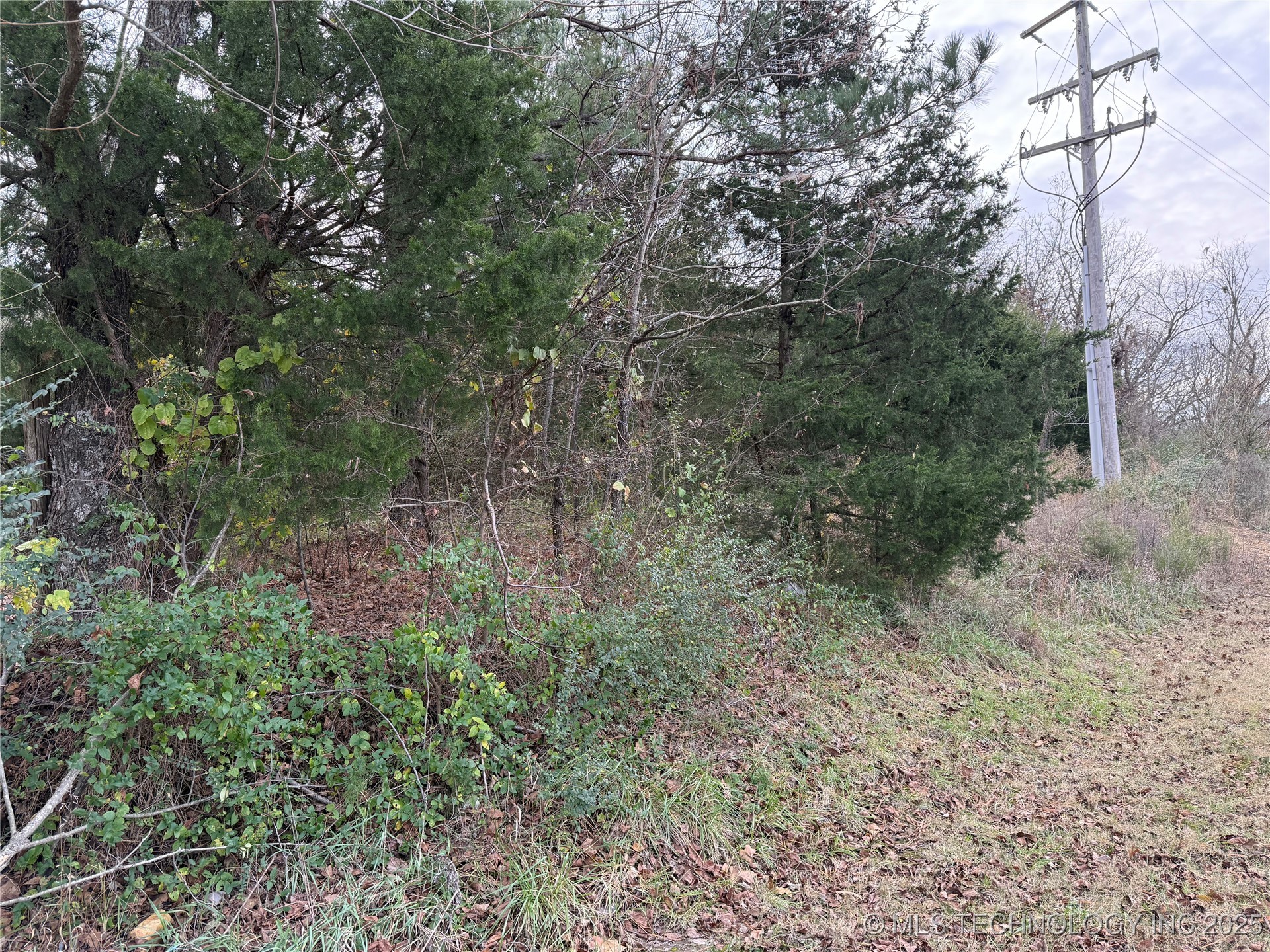 103rd Street North Property Photo 7