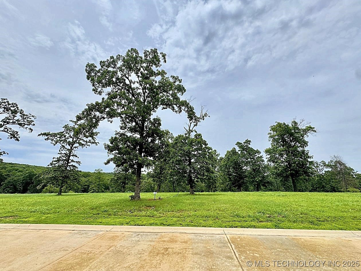 810 Ridgeview Drive Property Photo 38