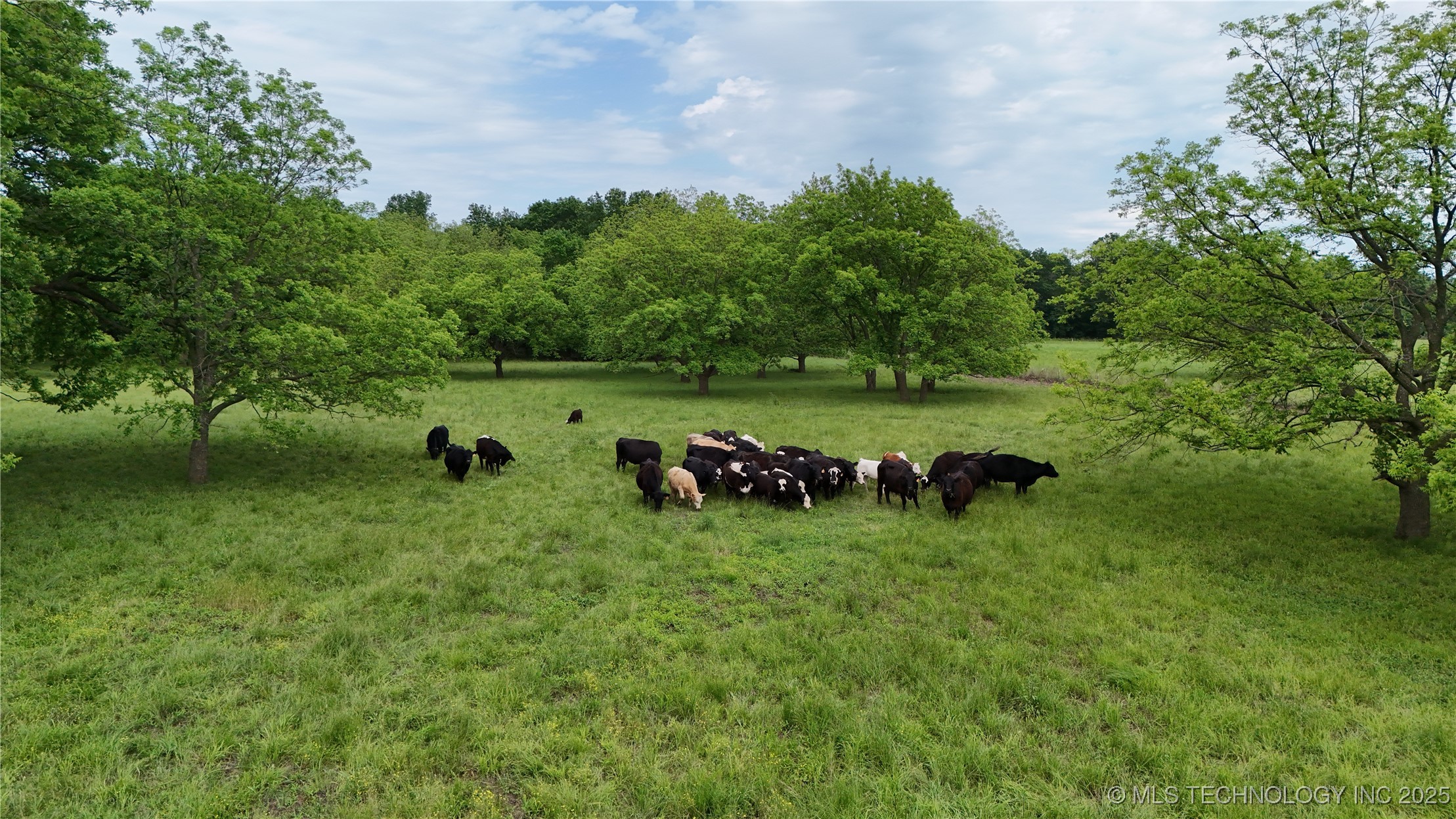 4748 N 4318 Road Property Photo 93