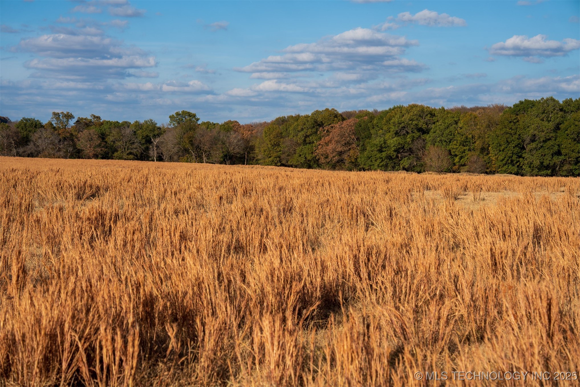 60 S County Road 4440 Property Photo 47