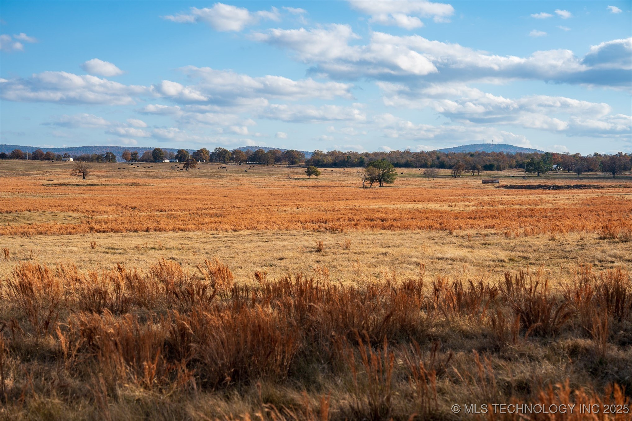 60 S County Road 4440 Property Photo 50