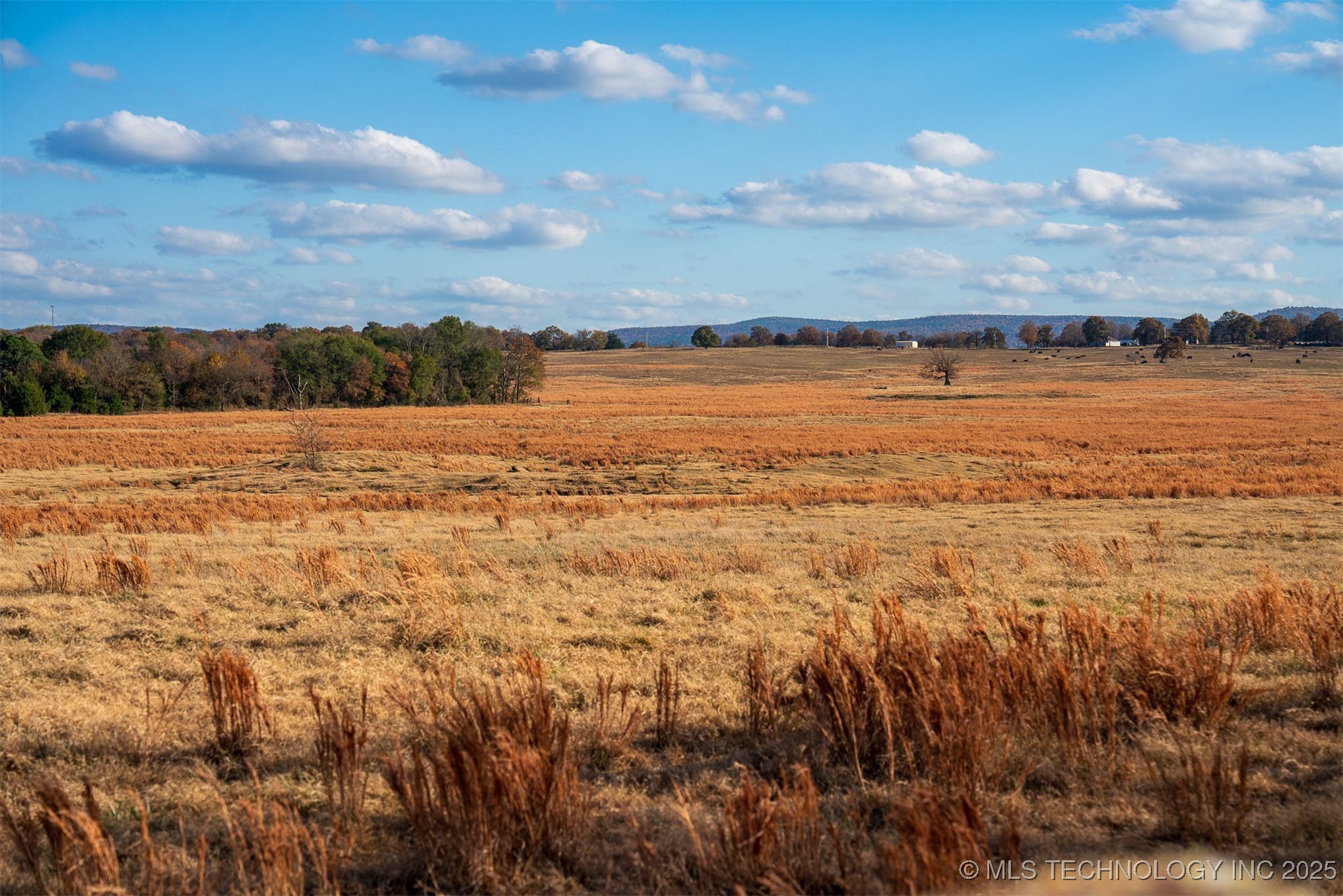 60 S County Road 4440 Property Photo 51