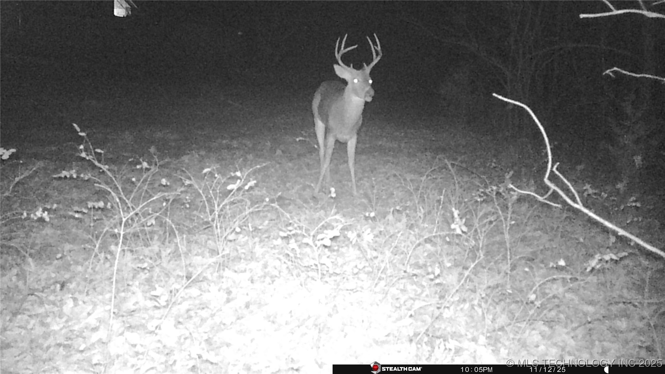 6933 N Martin Ridge Road Property Photo 36