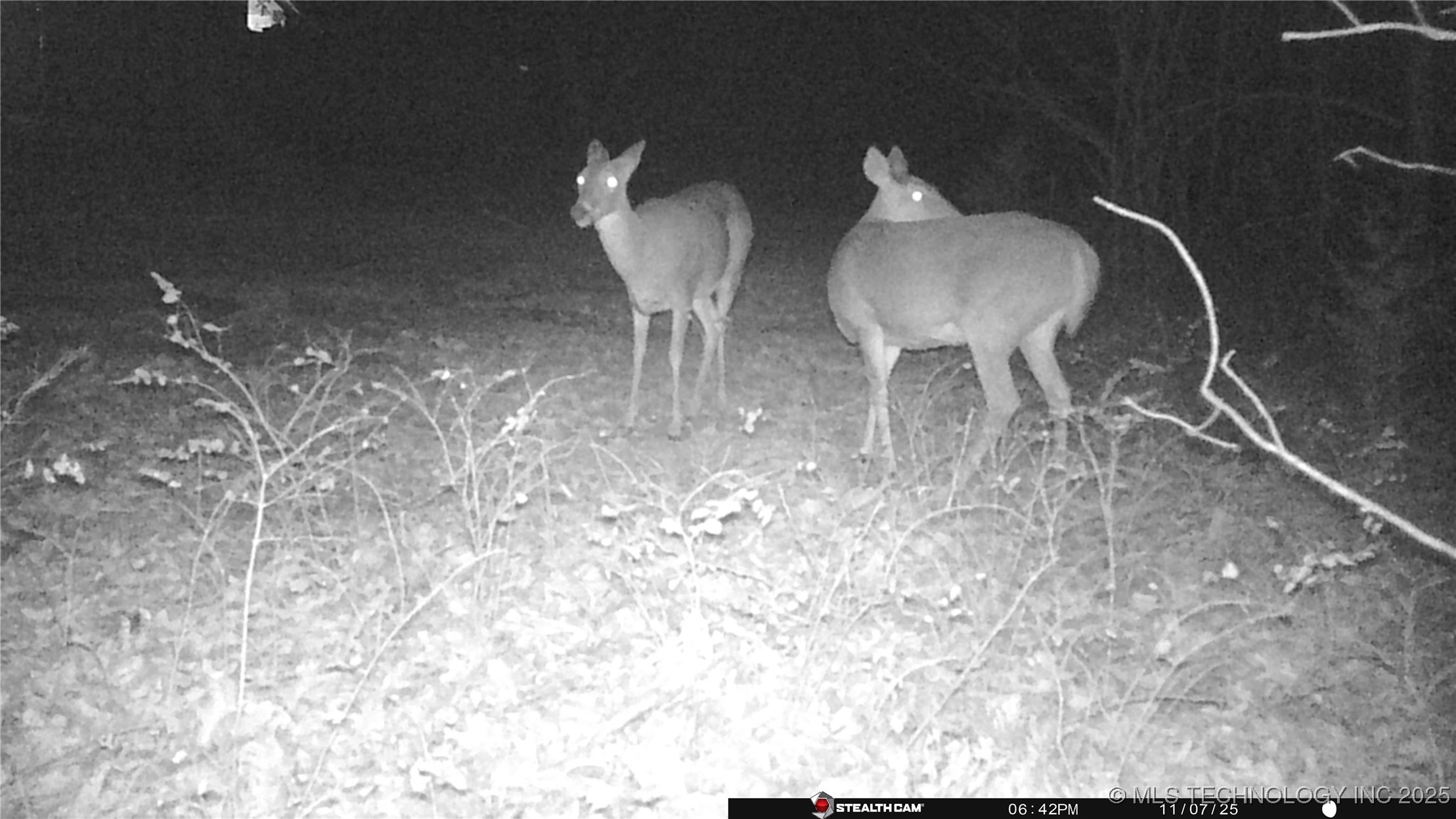 6933 N Martin Ridge Road Property Photo 37