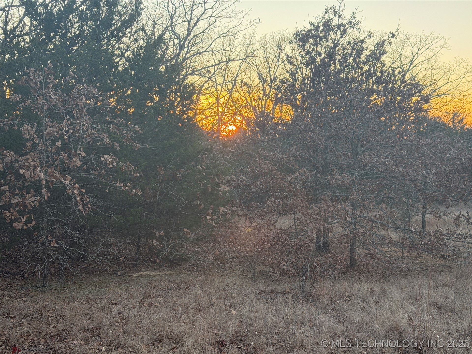 0001 County Road 1485 Property Photo 1
