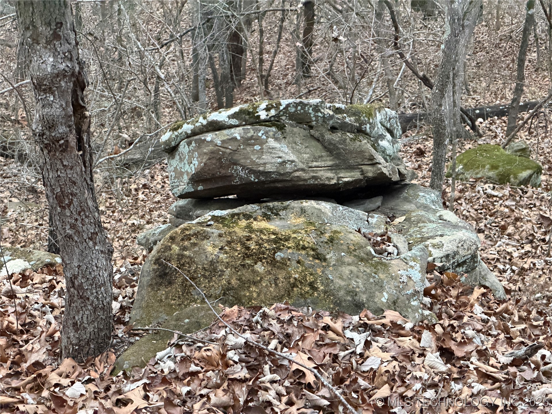 0001 County Road 1485 Property Photo 3