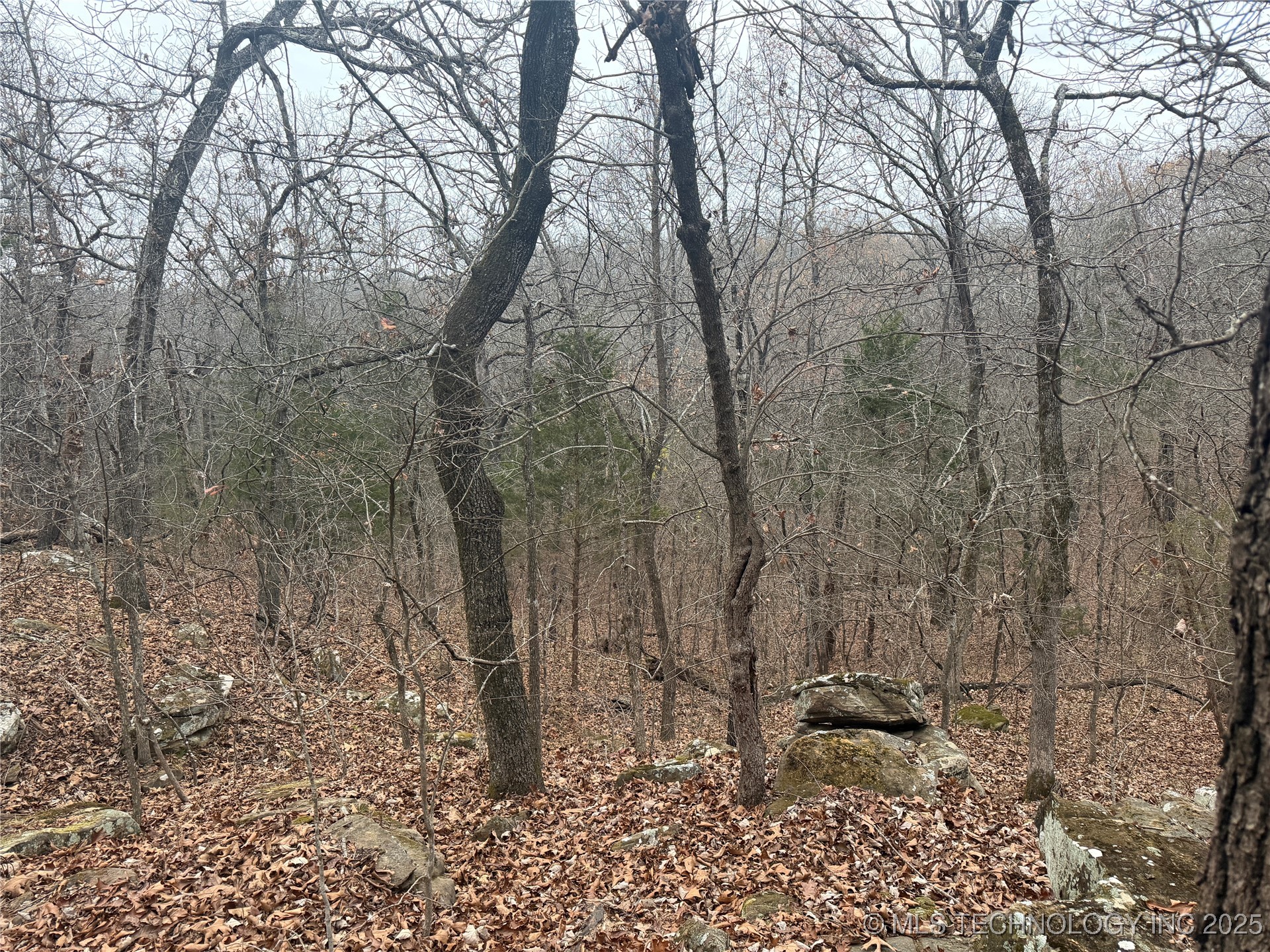 0001 County Road 1485 Property Photo 4