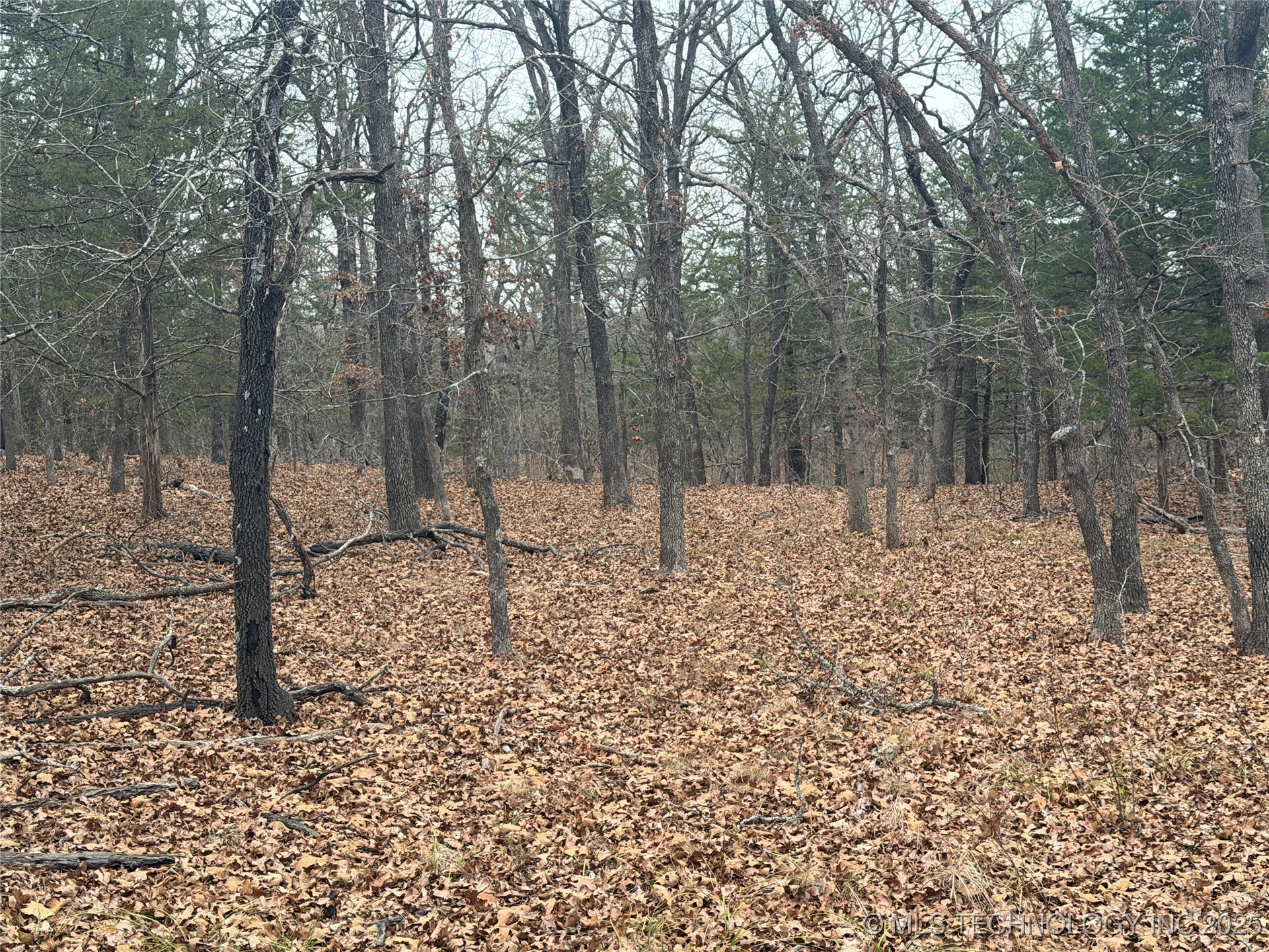 0001 County Road 1485 Property Photo 5