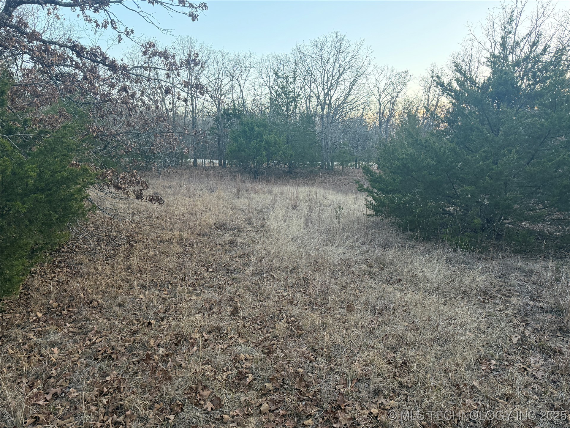 0001 County Road 1485 Property Photo 7