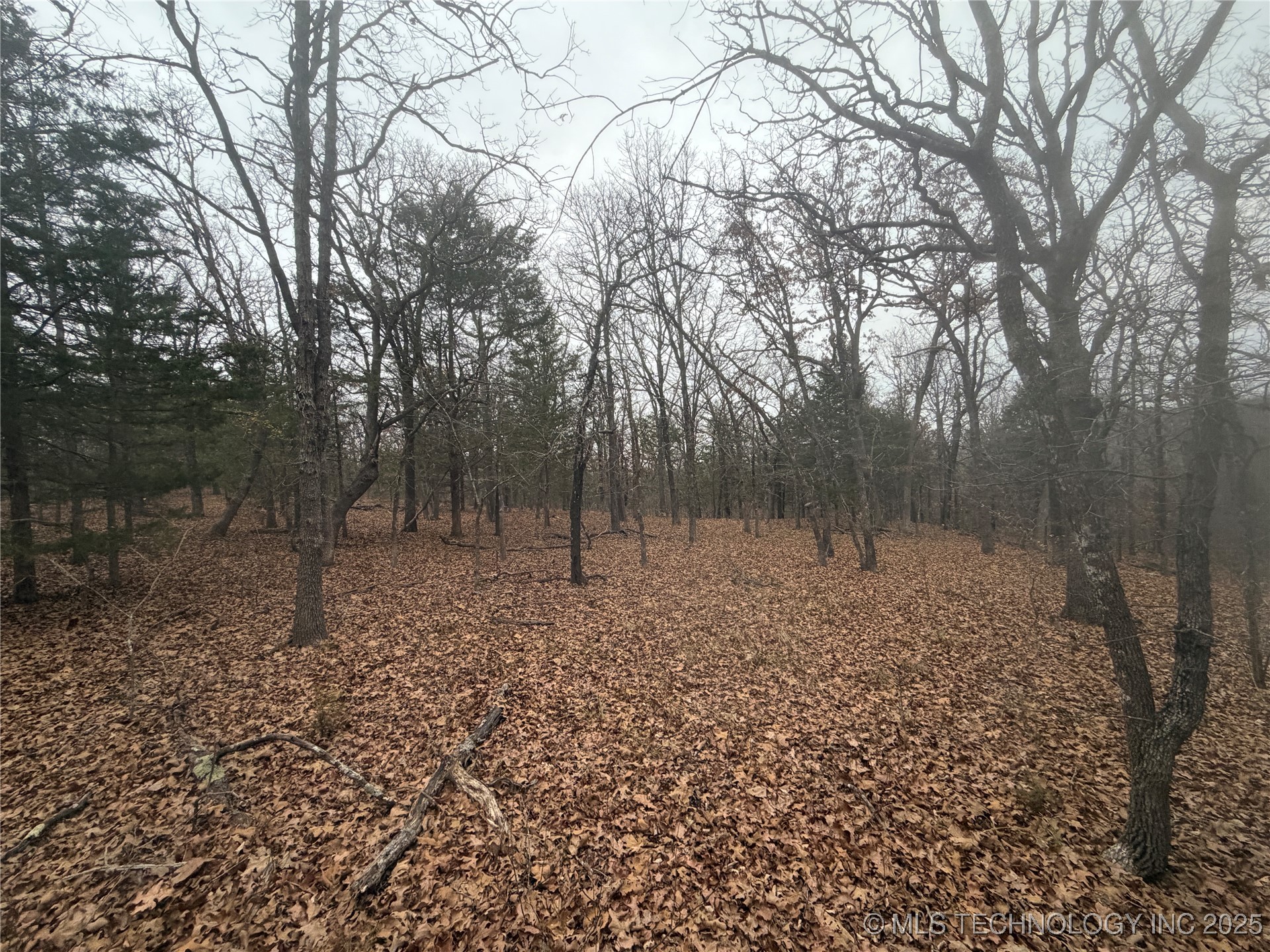 0001 County Road 1485 Property Photo 11