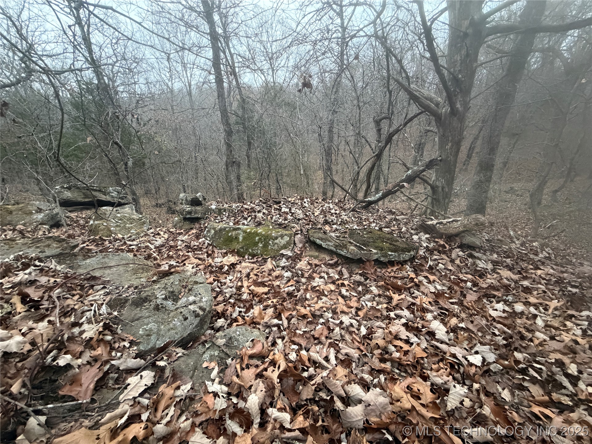0001 County Road 1485 Property Photo 12
