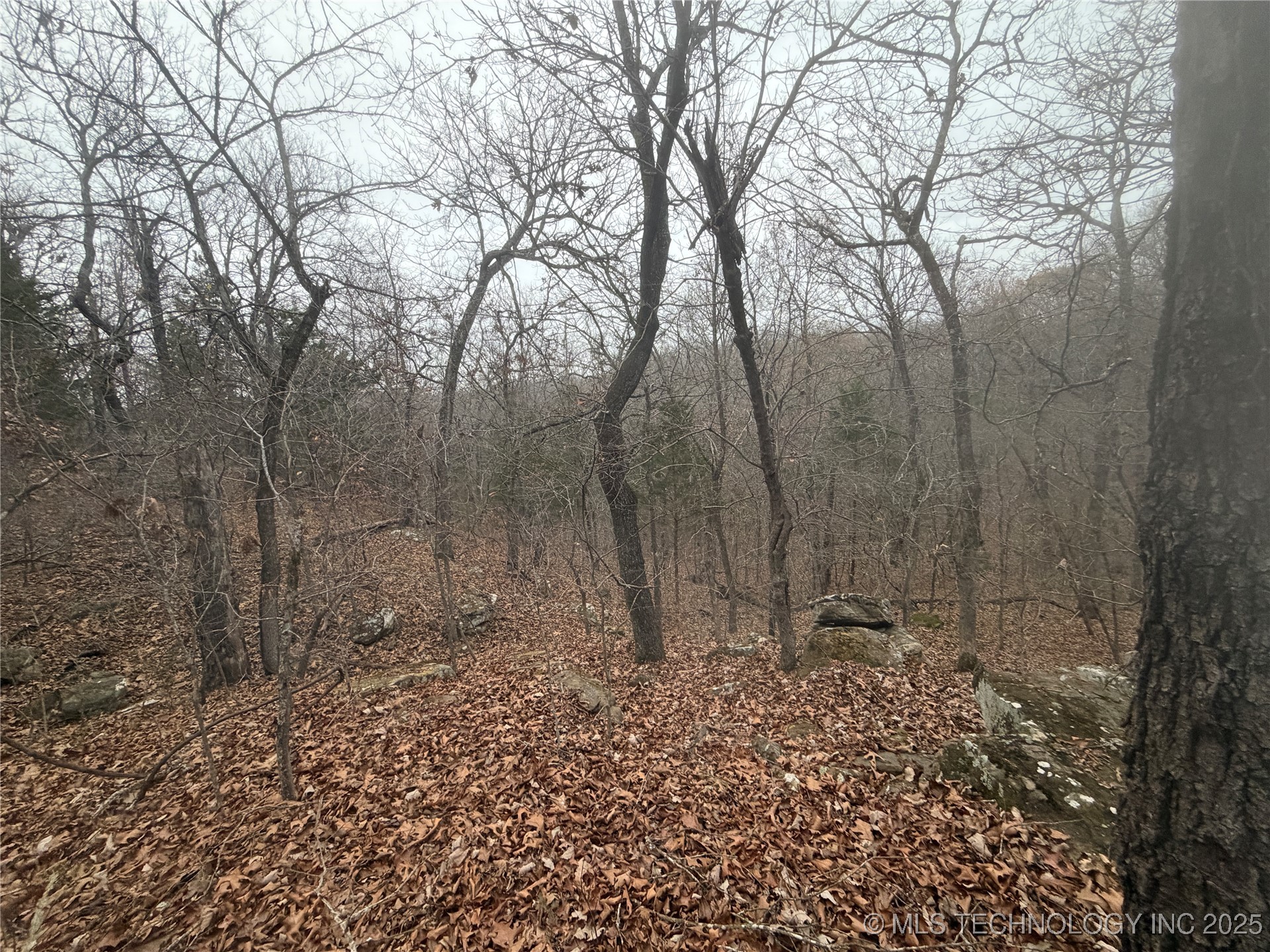 0001 County Road 1485 Property Photo 13