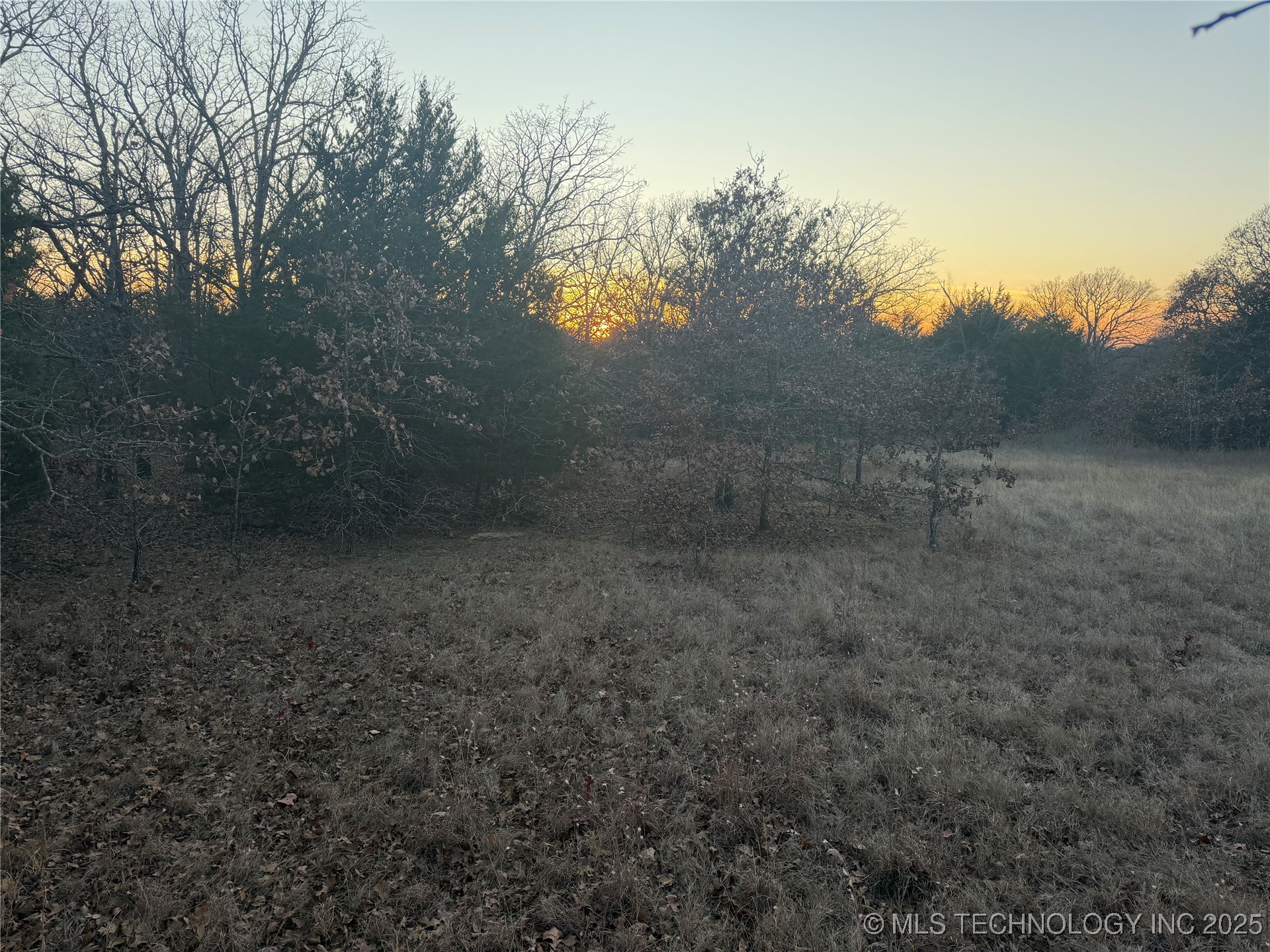 0001 County Road 1485 Property Photo 15