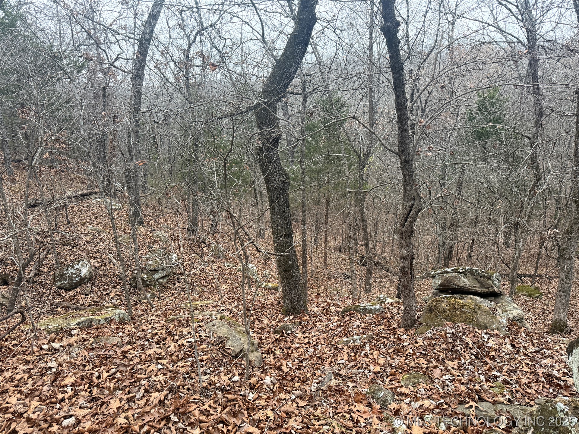 0001 County Road 1485 Property Photo 16