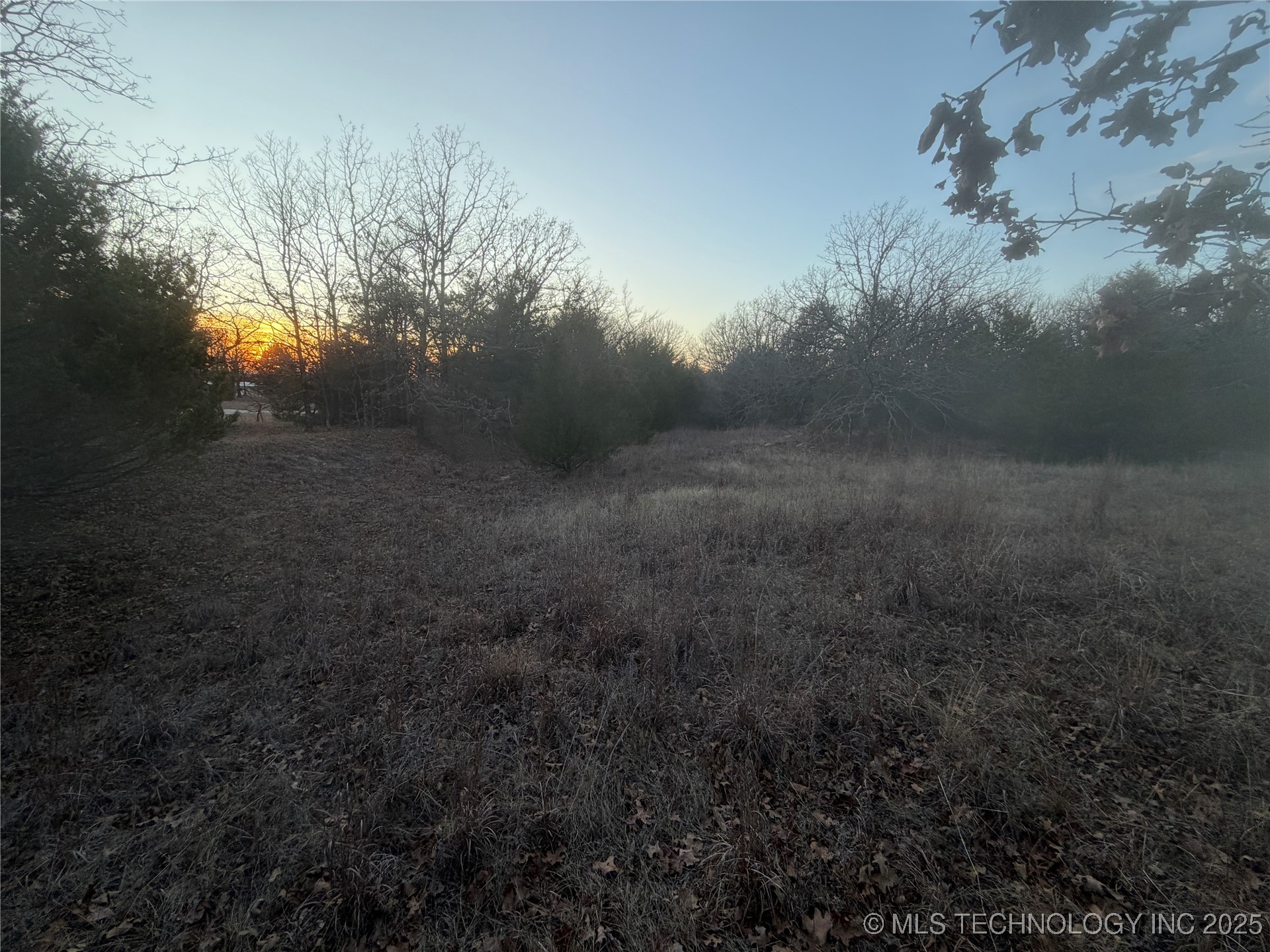 0001 County Road 1485 Property Photo 17