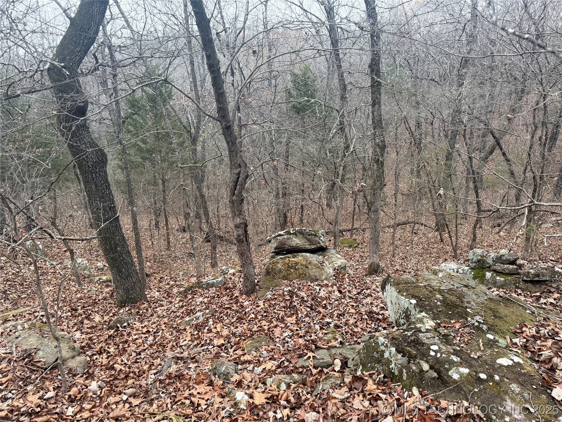 0001 County Road 1485 Property Photo 18