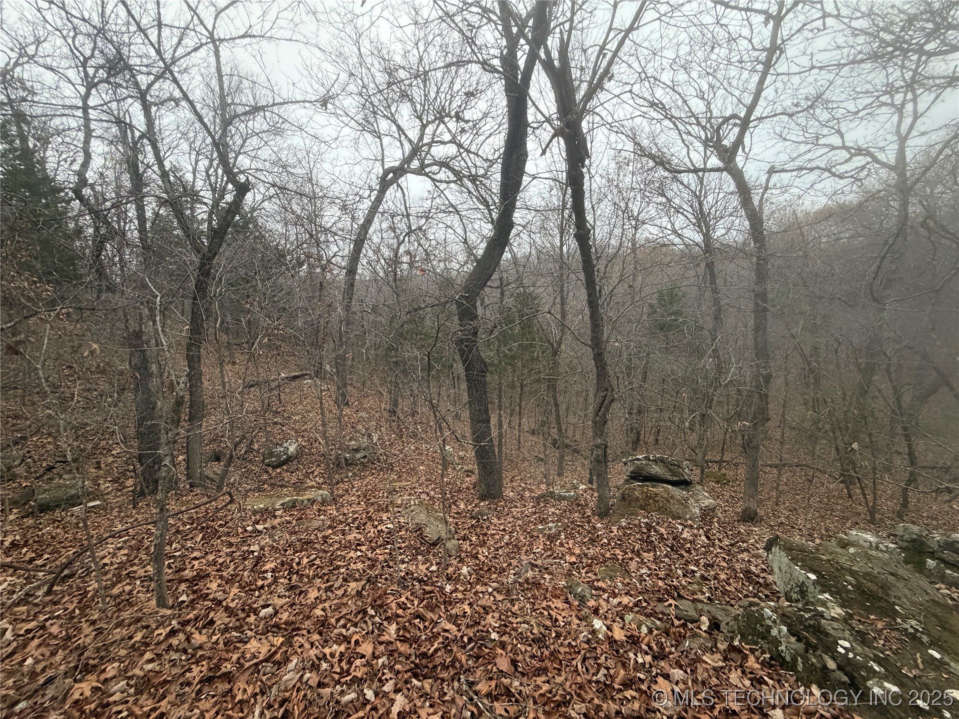 0001 County Road 1485 Property Photo 19