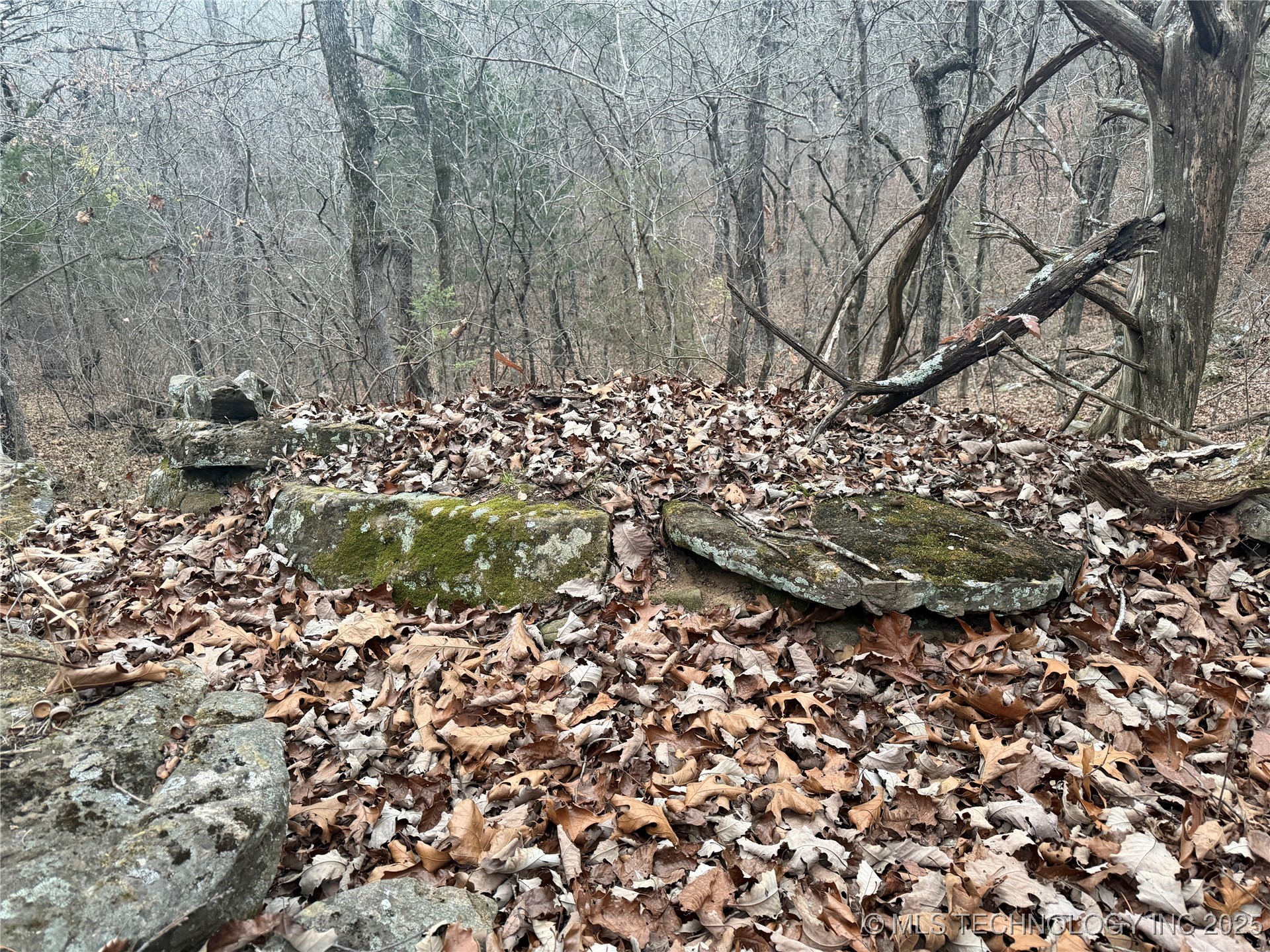 0001 County Road 1485 Property Photo 21