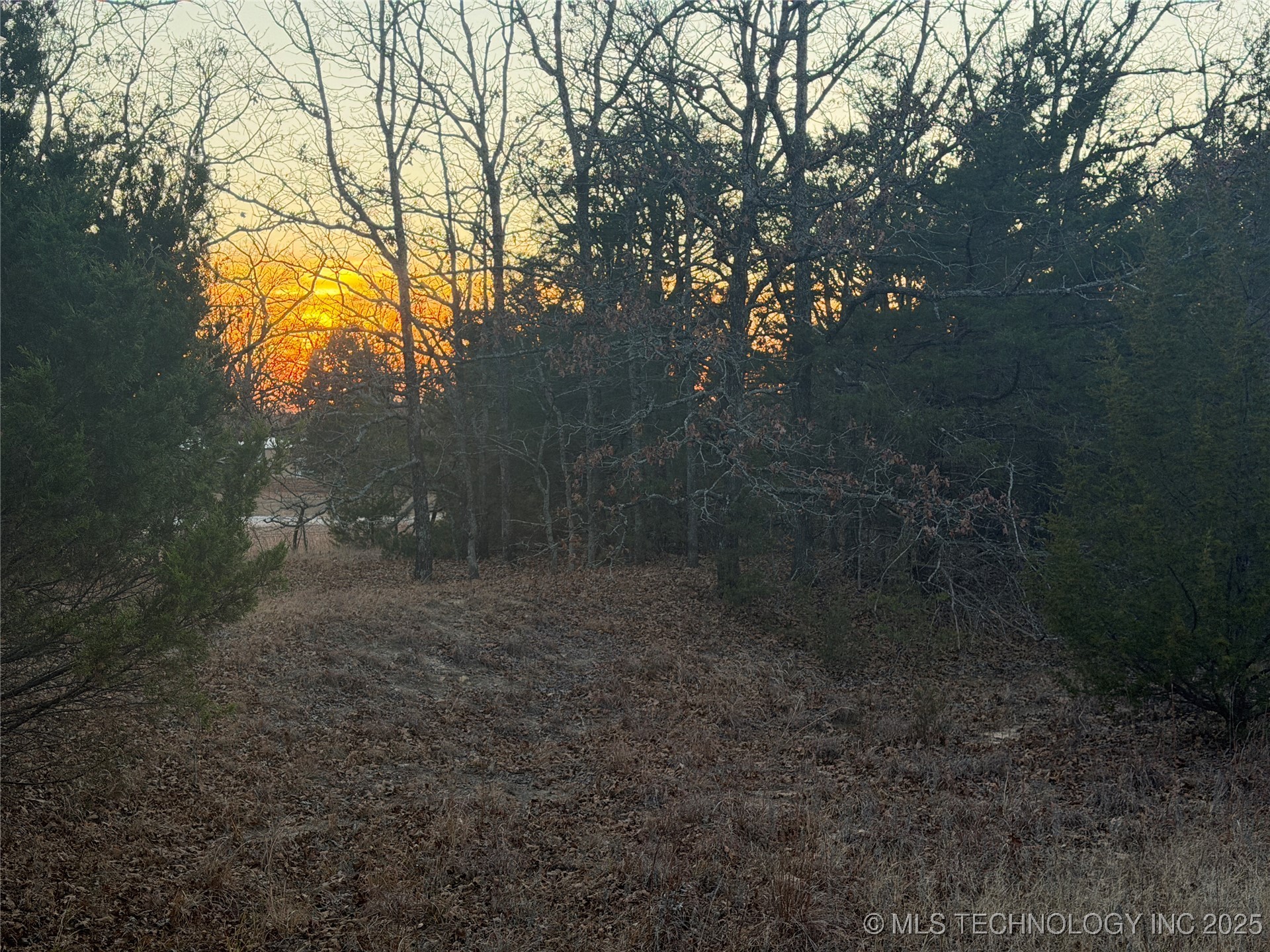 0001 County Road 1485 Property Photo 24