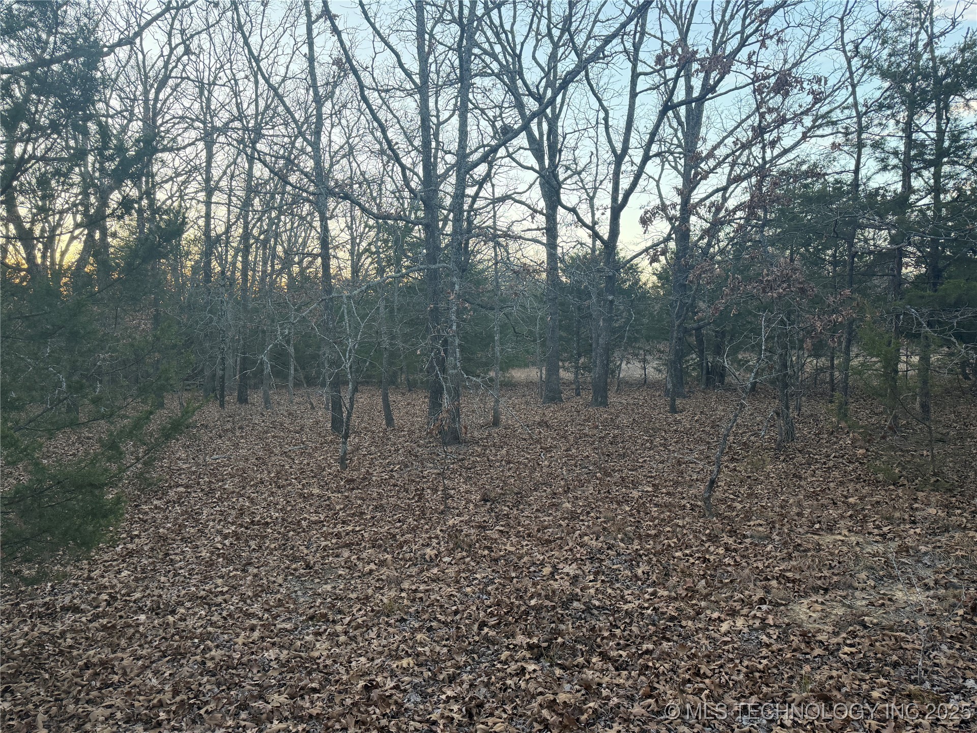 0001 County Road 1485 Property Photo 25