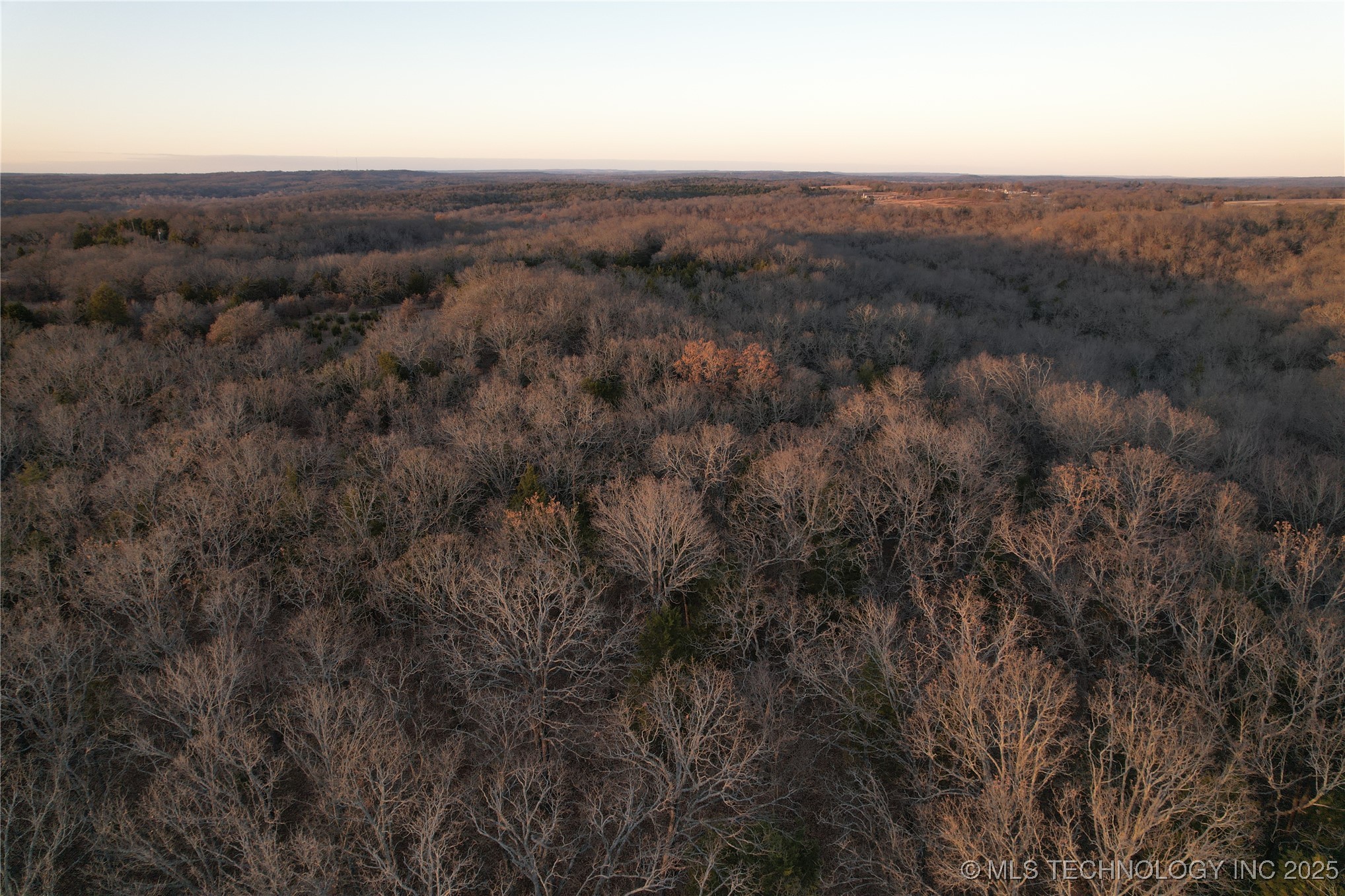 0001 County Road 1485 Property Photo 26