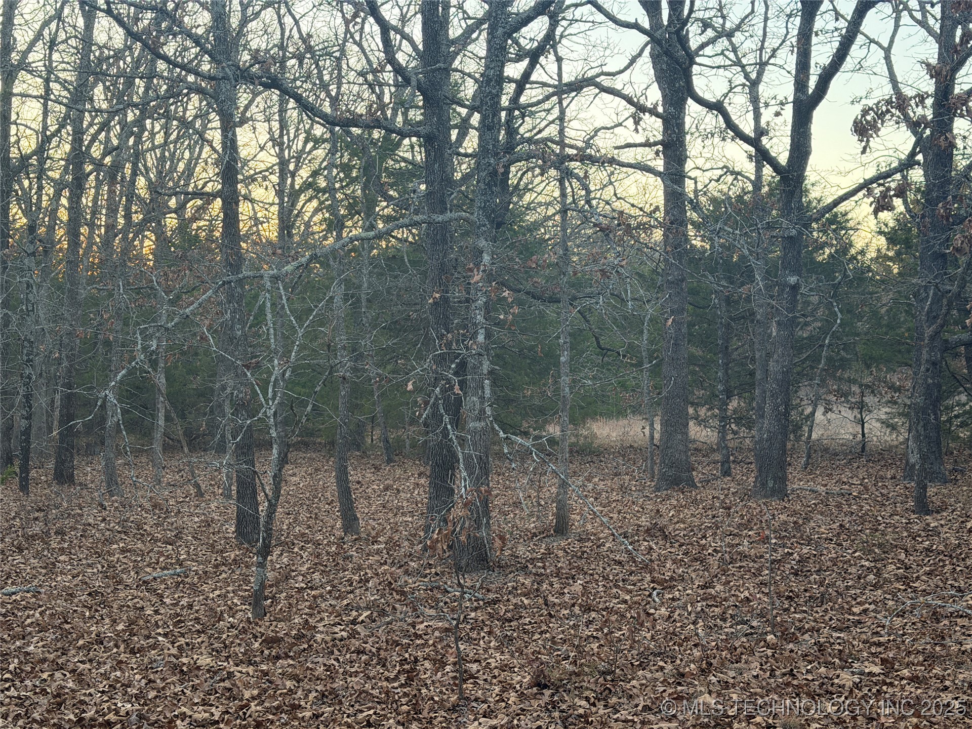 0001 County Road 1485 Property Photo 27