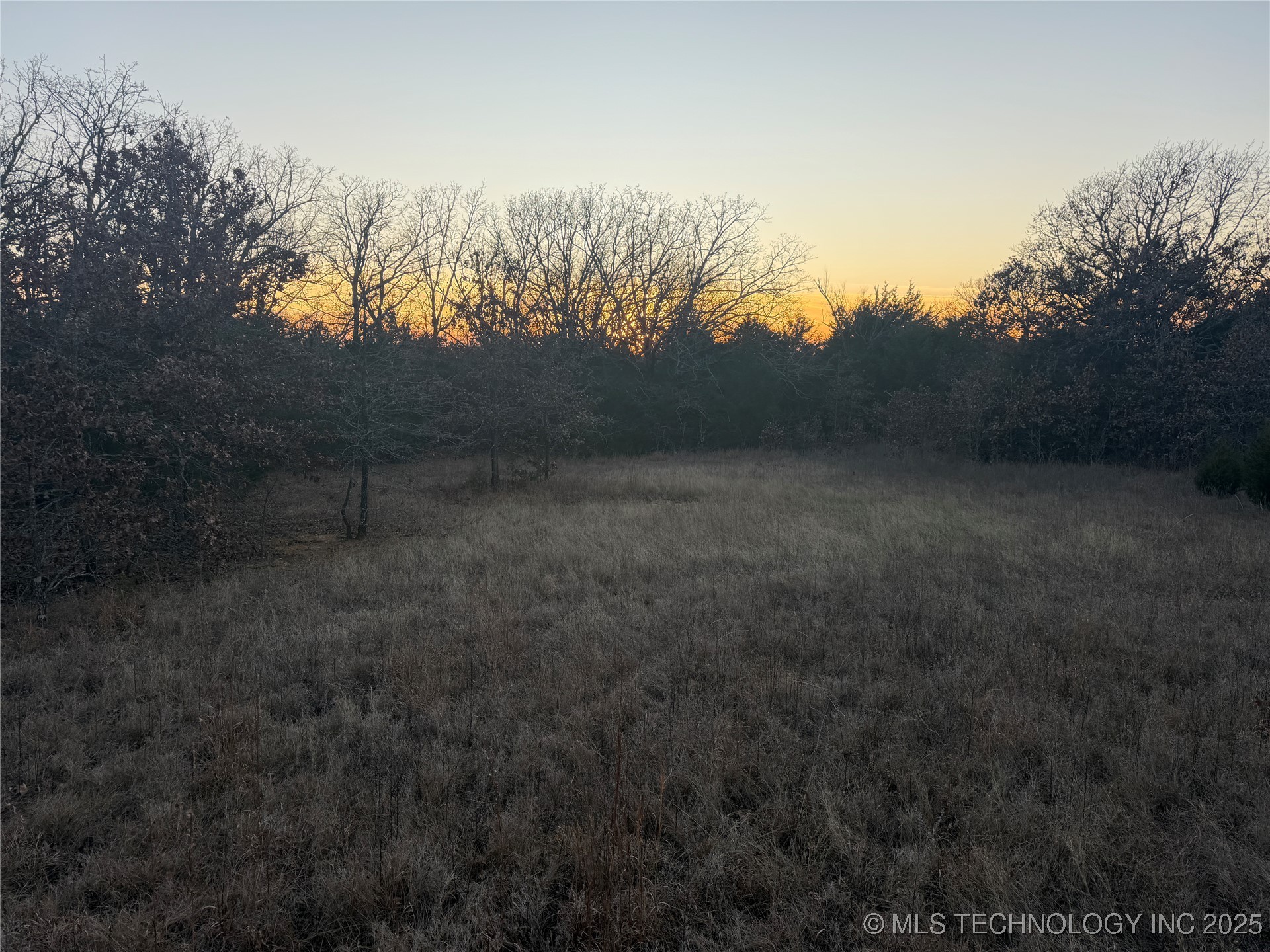 0001 County Road 1485 Property Photo 29