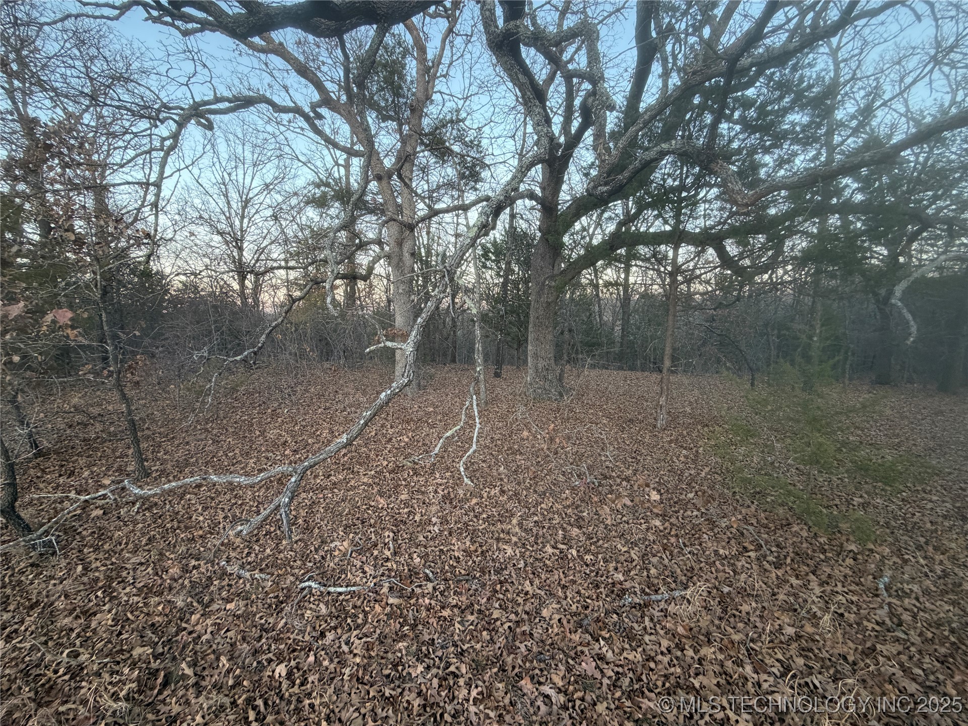 0001 County Road 1485 Property Photo 30