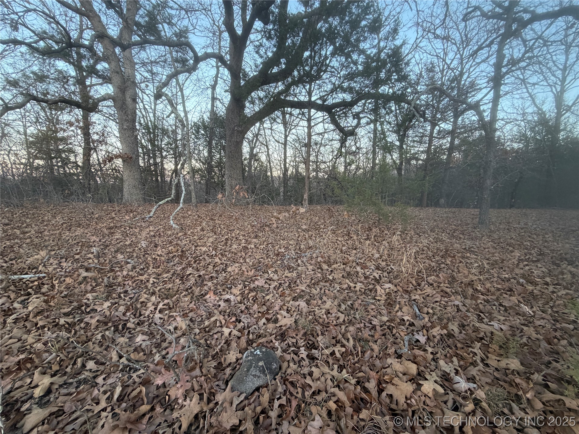 0001 County Road 1485 Property Photo 31