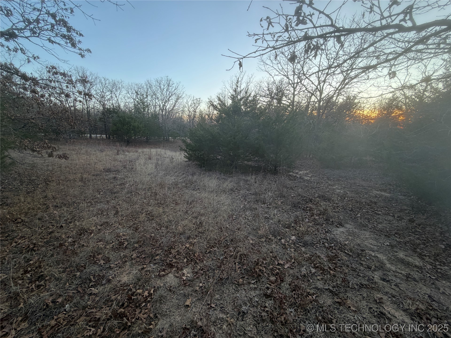 0001 County Road 1485 Property Photo 33
