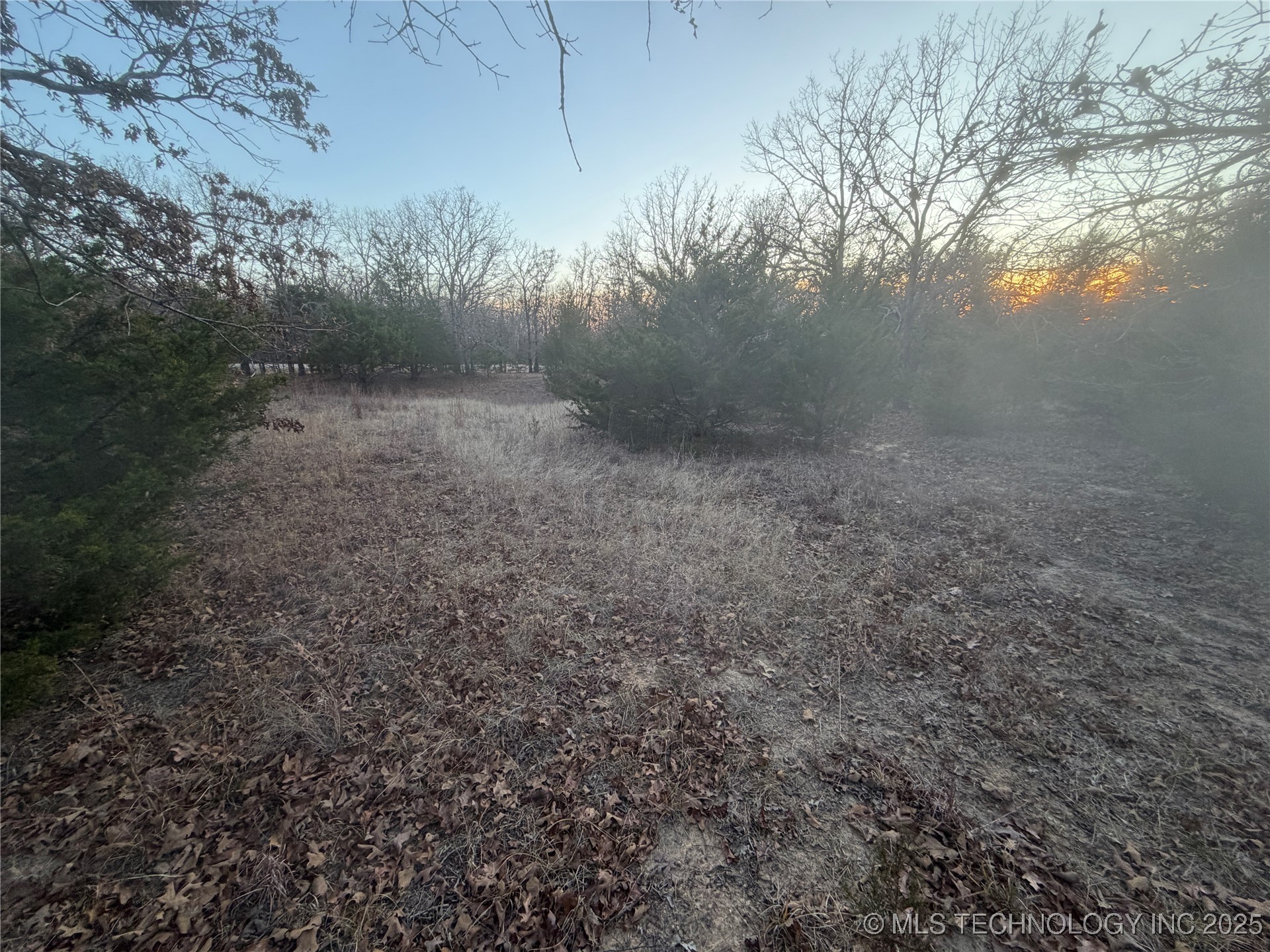 0001 County Road 1485 Property Photo 34