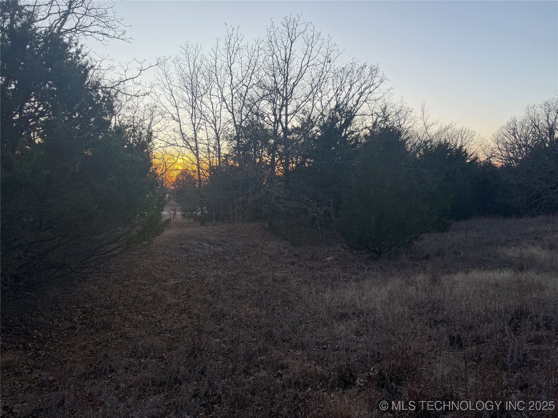 0001 County Road 1485 Property Photo 35
