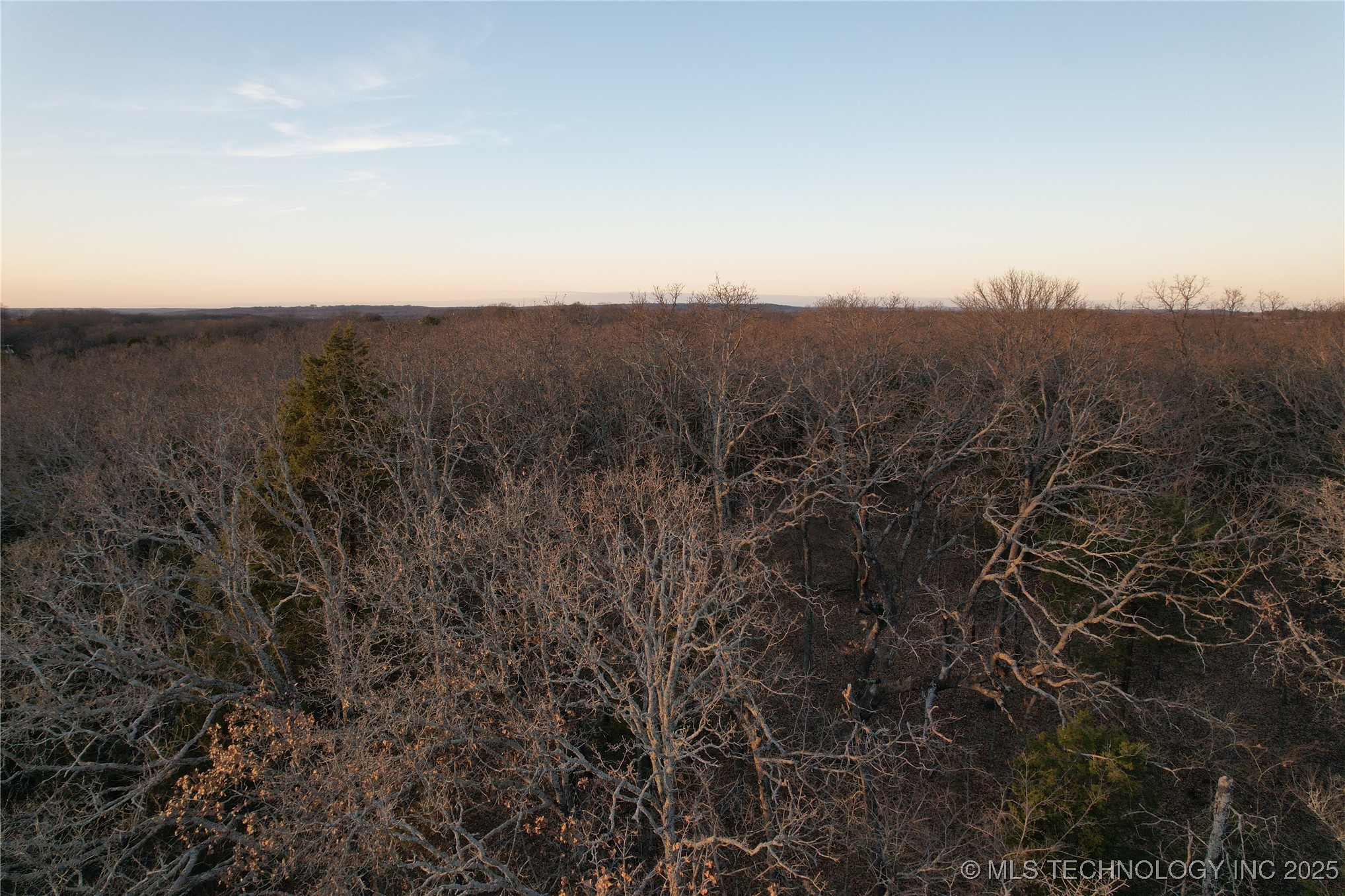 0001 County Road 1485 Property Photo 36