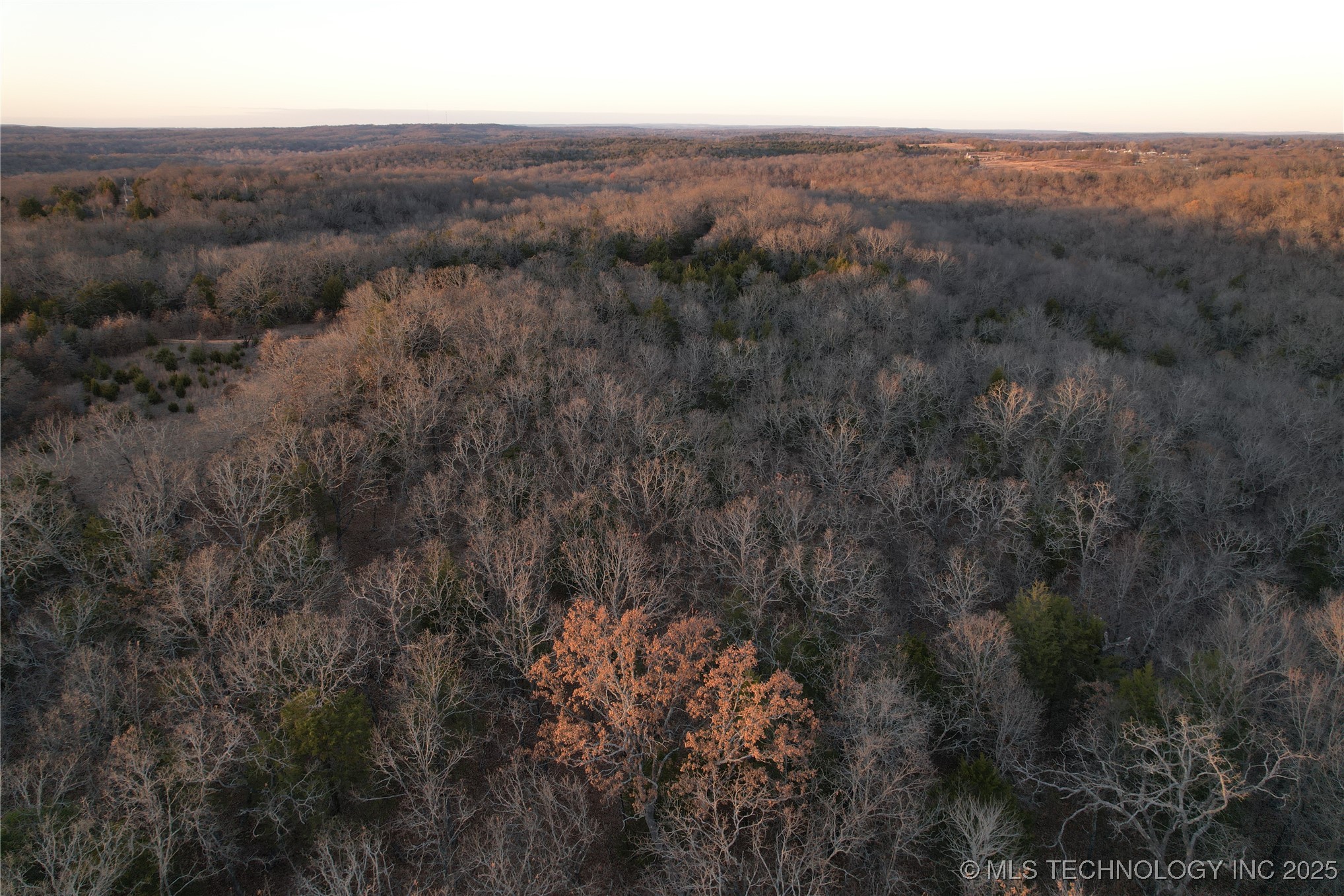 0001 County Road 1485 Property Photo 37