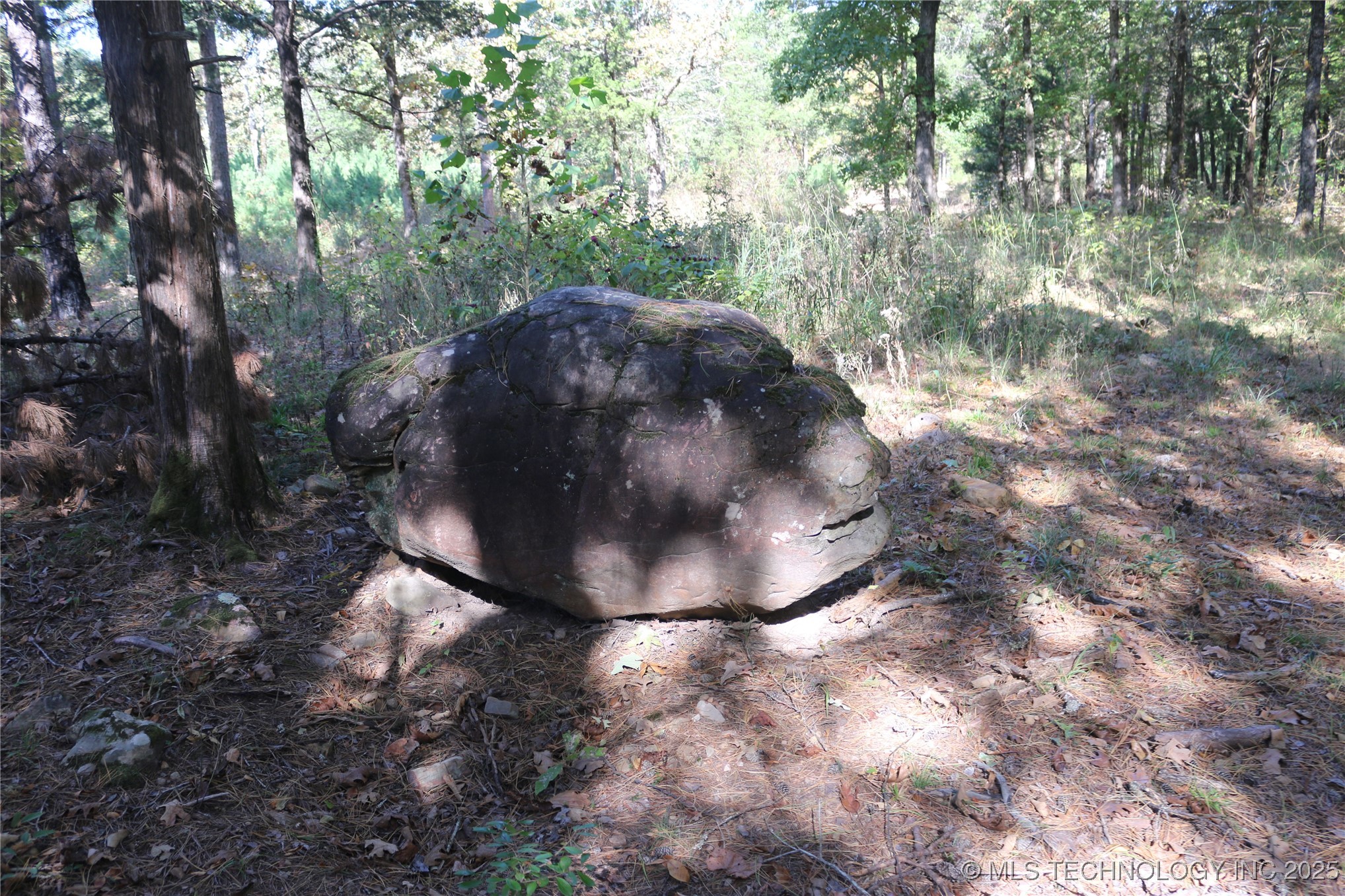 61216 Patterson Lane Property Photo 38