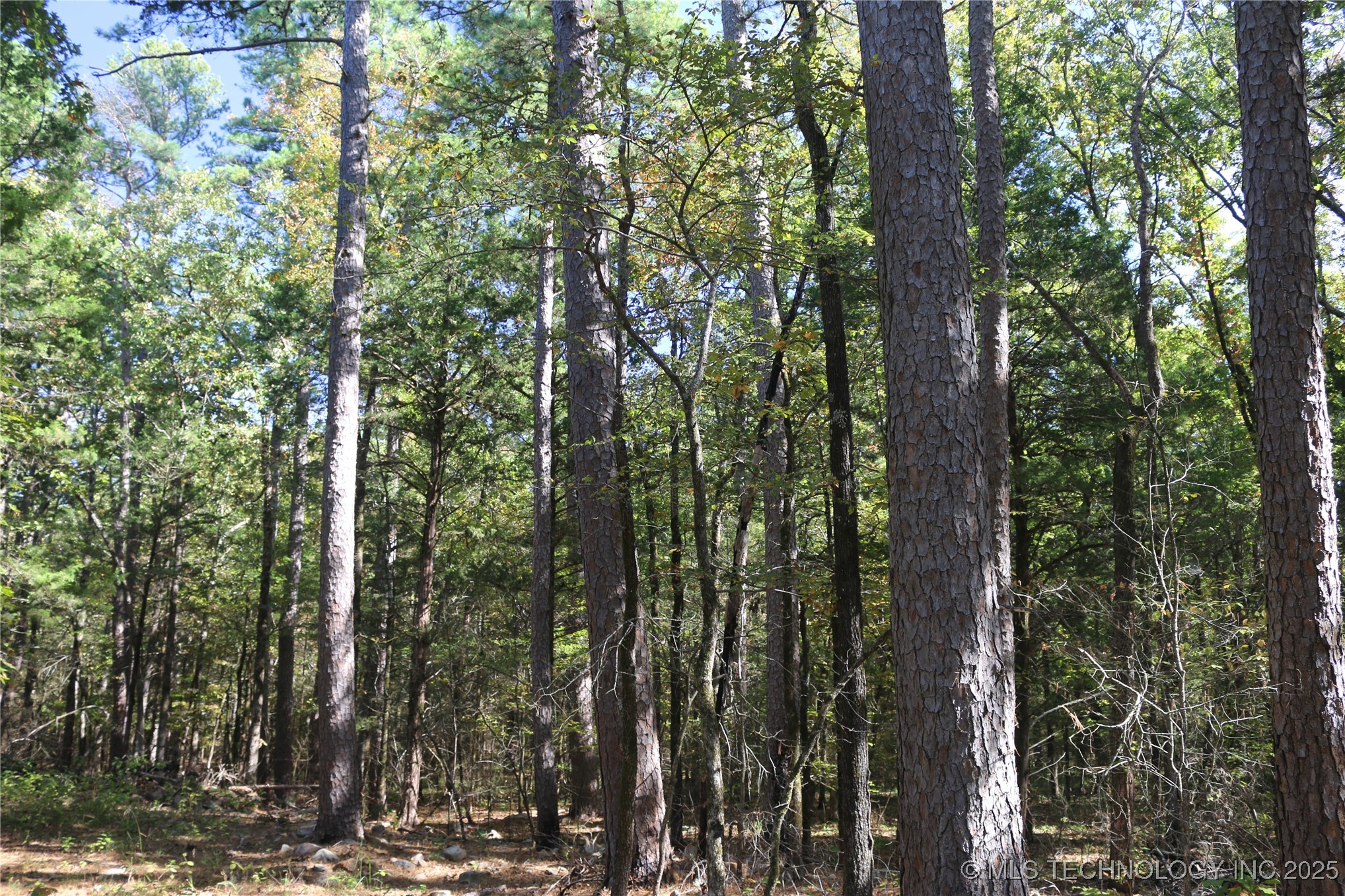 61216 Patterson Lane Property Photo 41