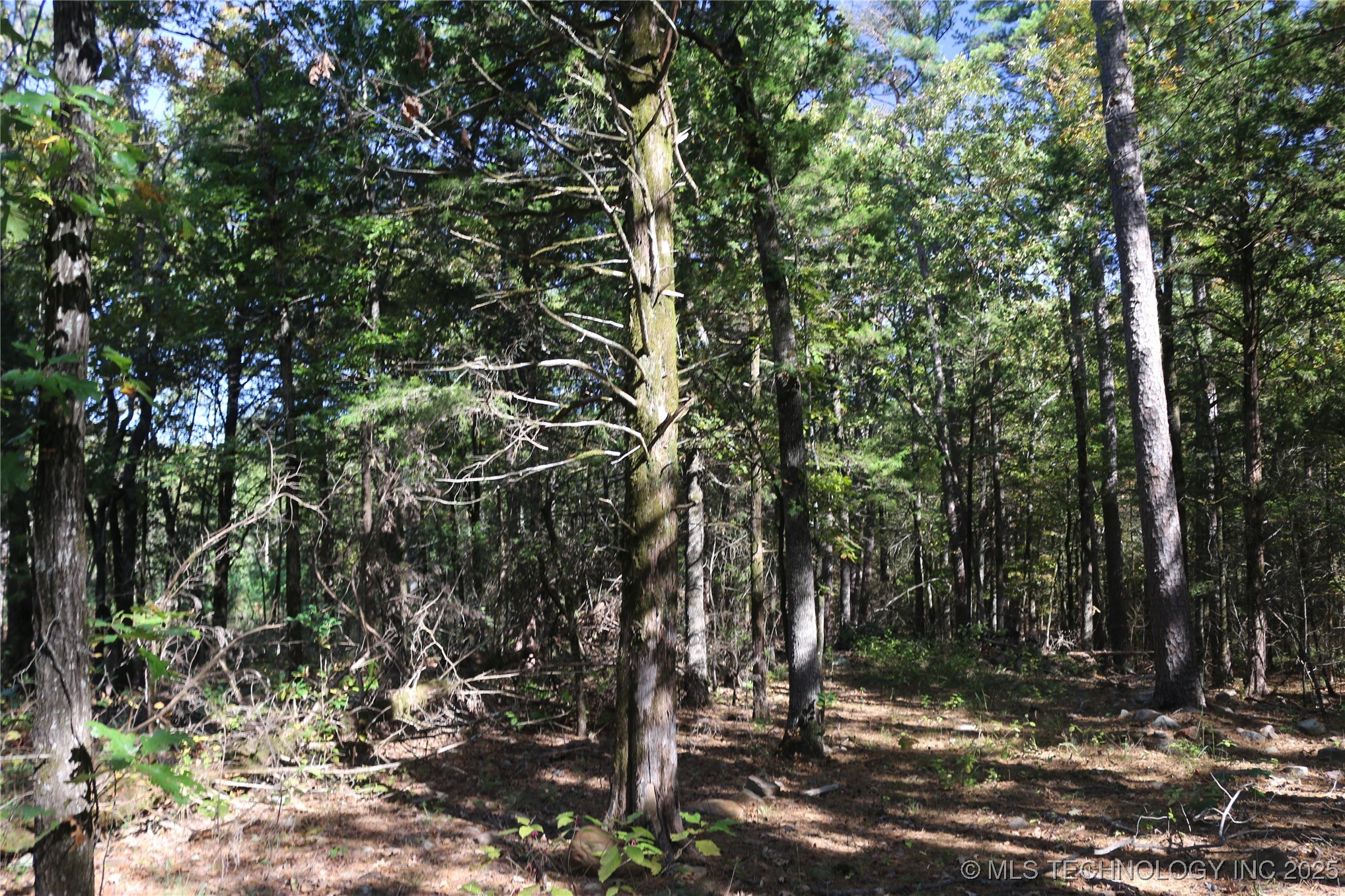 61216 Patterson Lane Property Photo 42