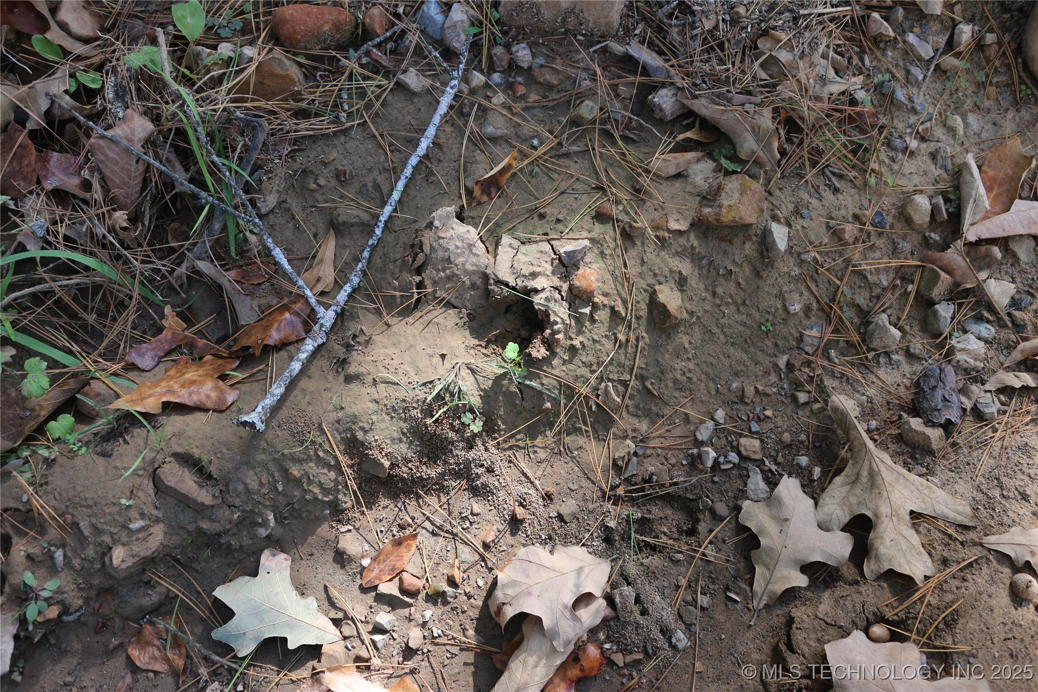 61216 Patterson Lane Property Photo 44