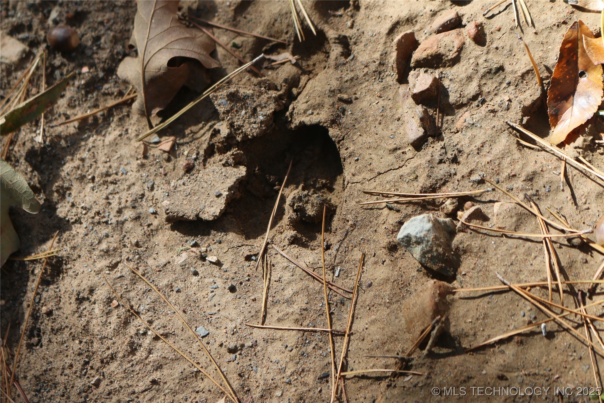 61216 Patterson Lane Property Photo 45