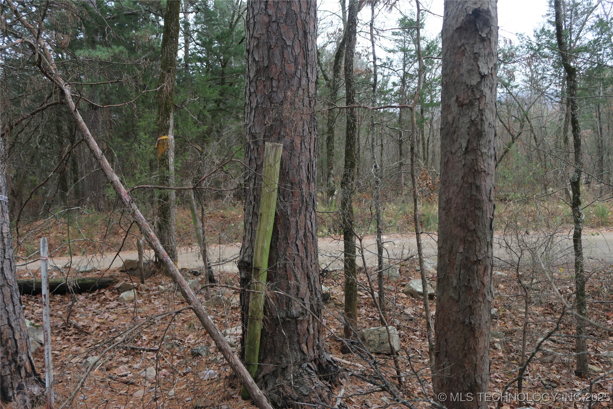 61216 Patterson Lane Property Photo 52