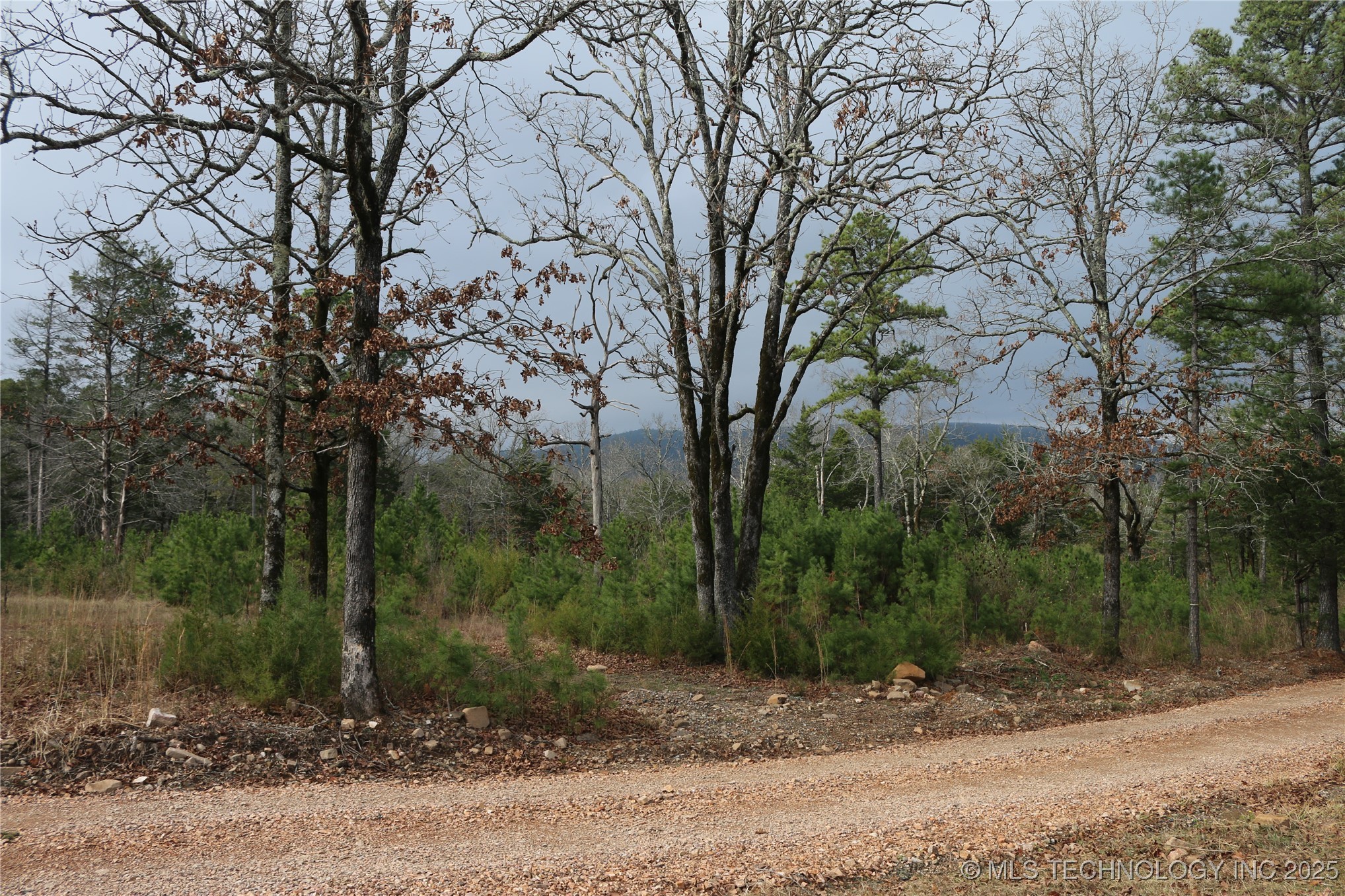 61216 Patterson Lane Property Photo 55