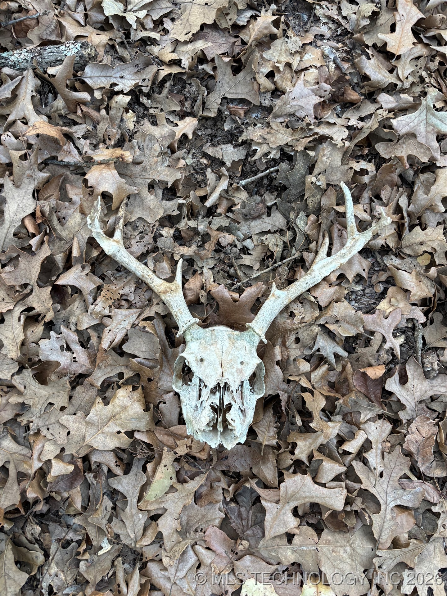 7977 Leavenworth Property Photo 41