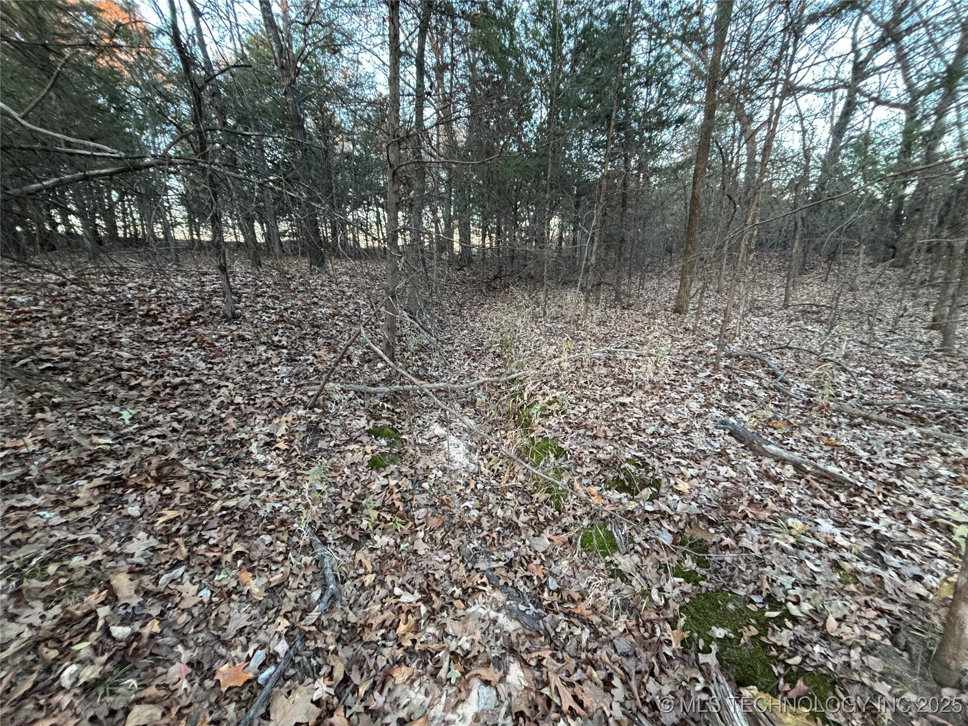 7977 Leavenworth Property Photo 43