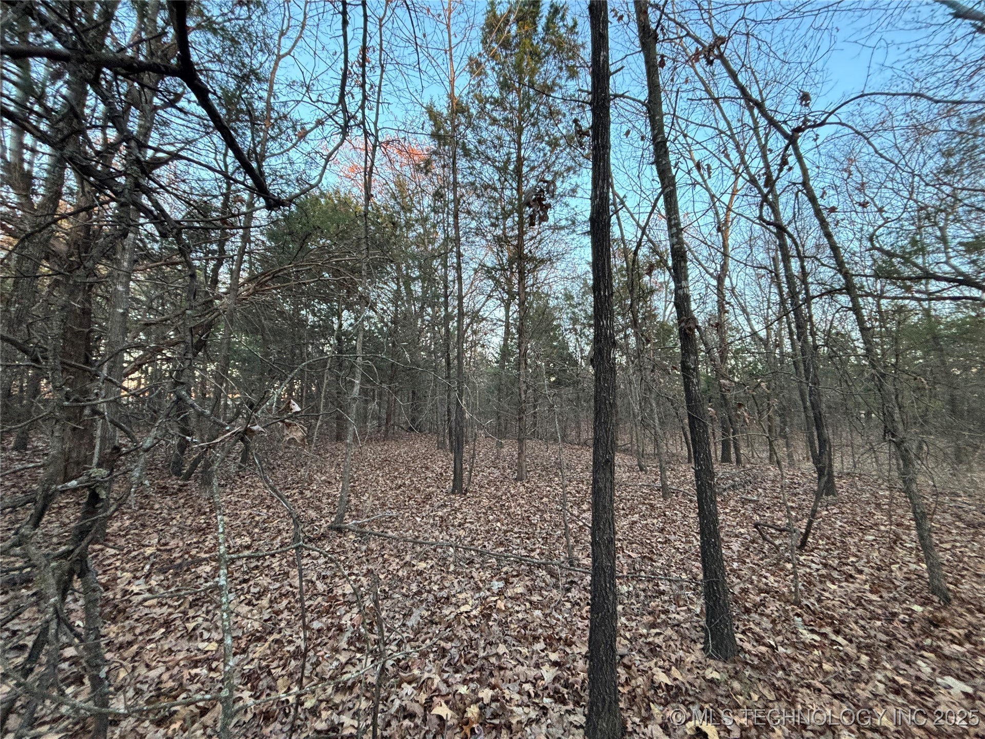 7977 Leavenworth Property Photo 46