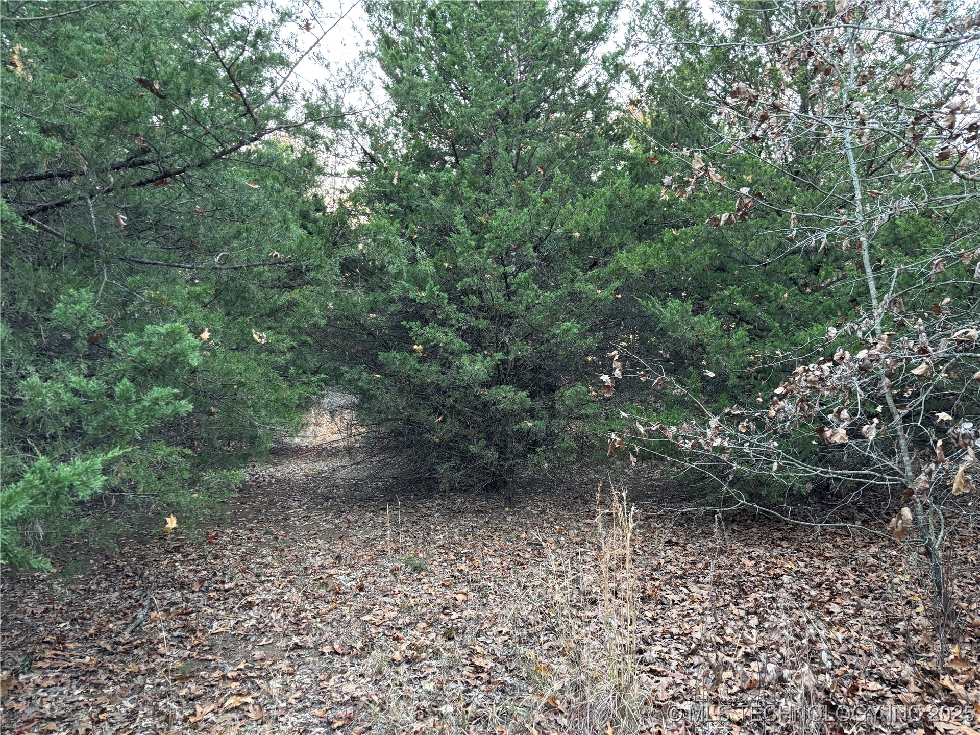 7977 Leavenworth Property Photo 47