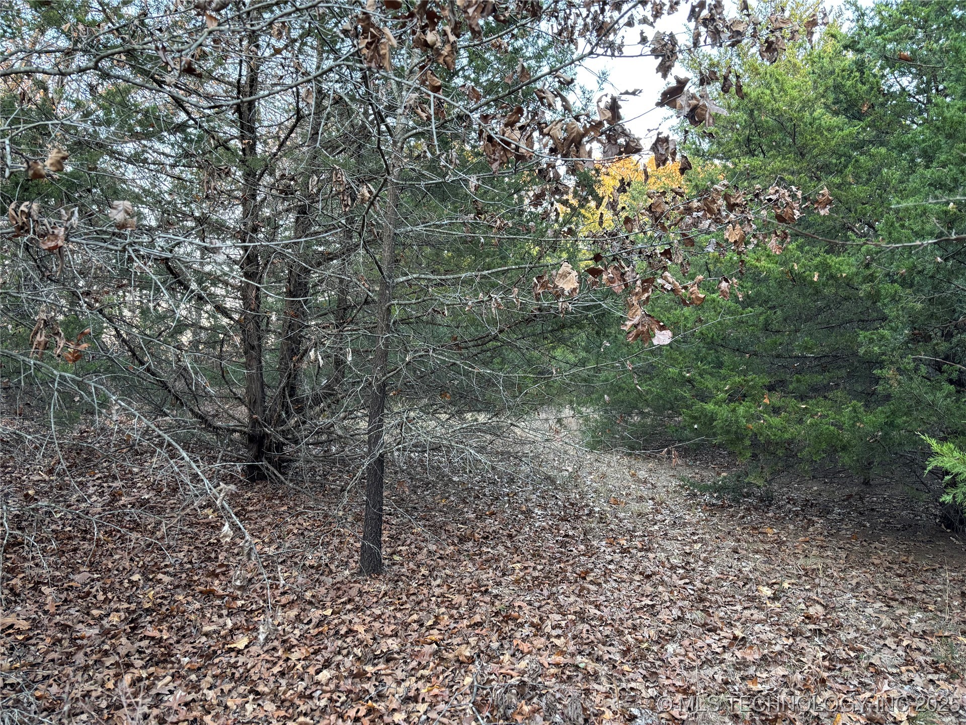 7977 Leavenworth Property Photo 48