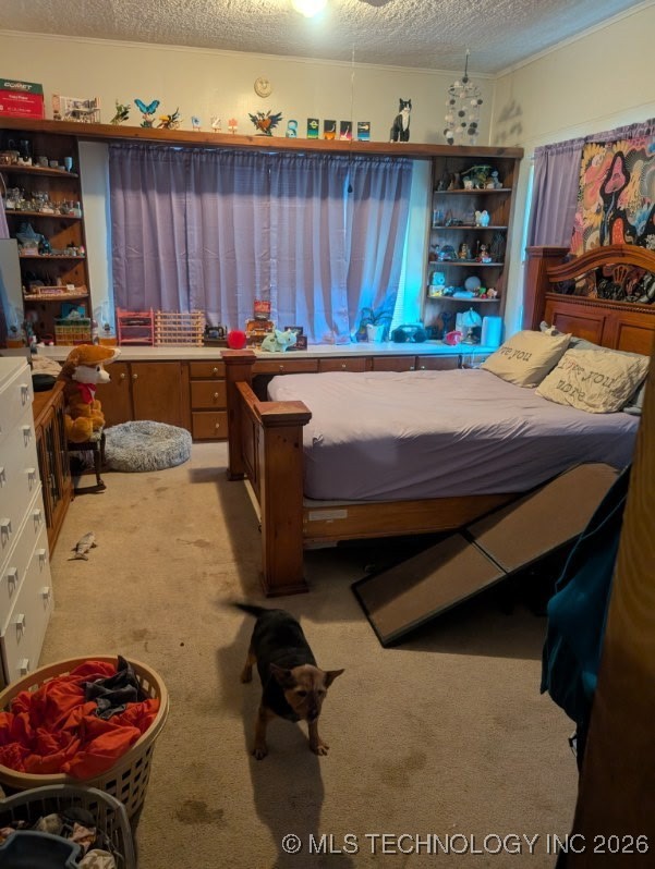 300 E Hester Street Property Photo 4