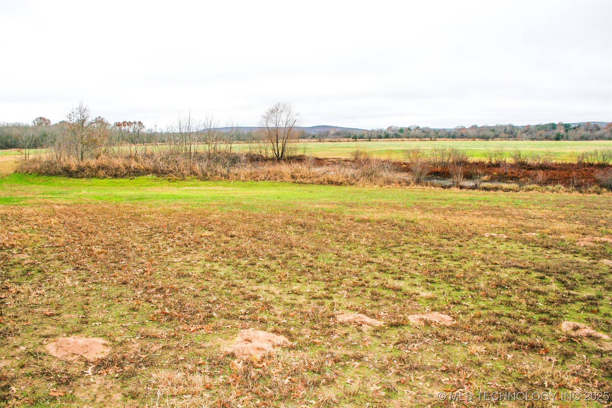 3 1120 Property Photo 2